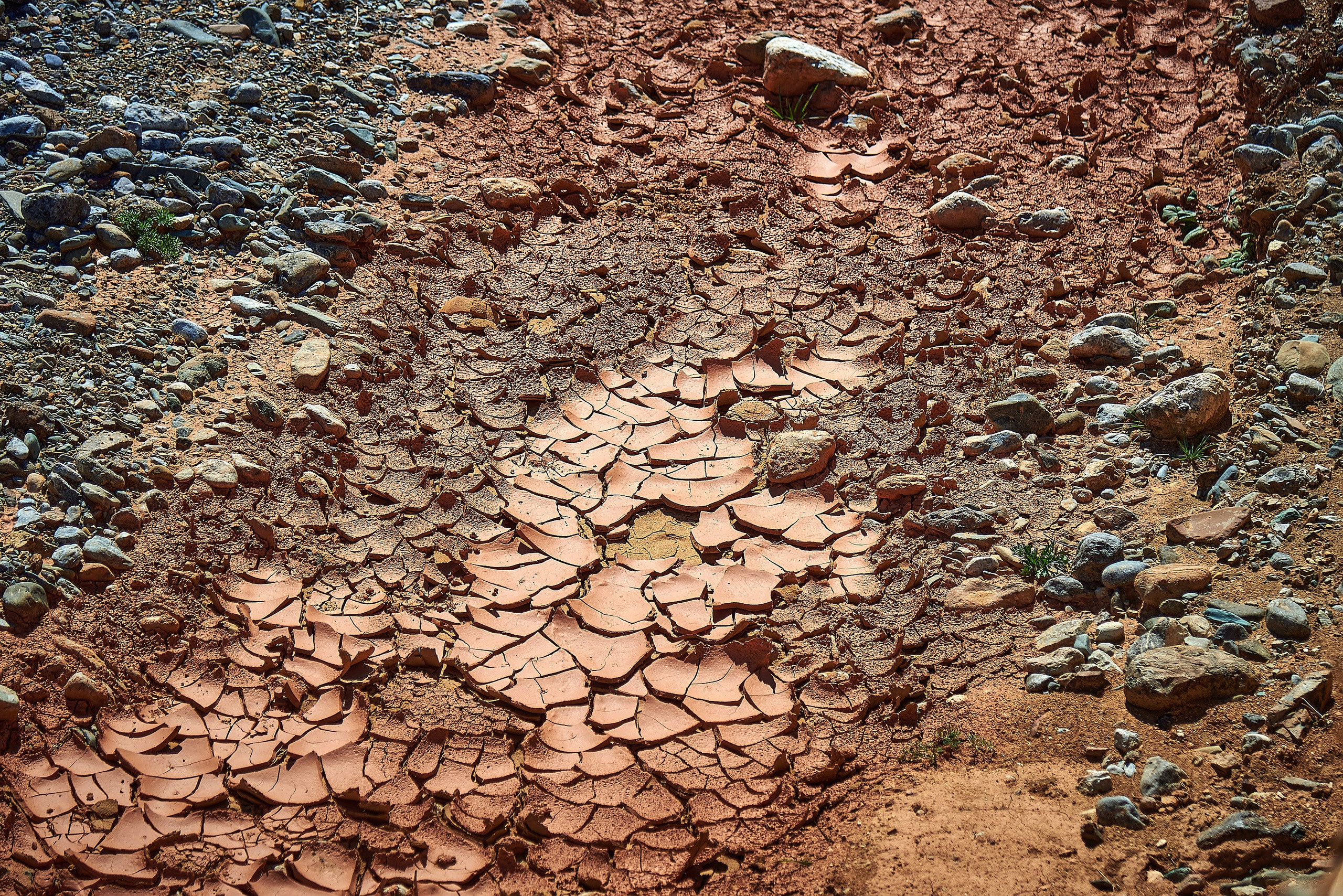 Пейзажный фотограф в Горном Алтае: съёмки природы и гор. Фотограф Опыт Качество Скорость Горный Алтай Барнаул