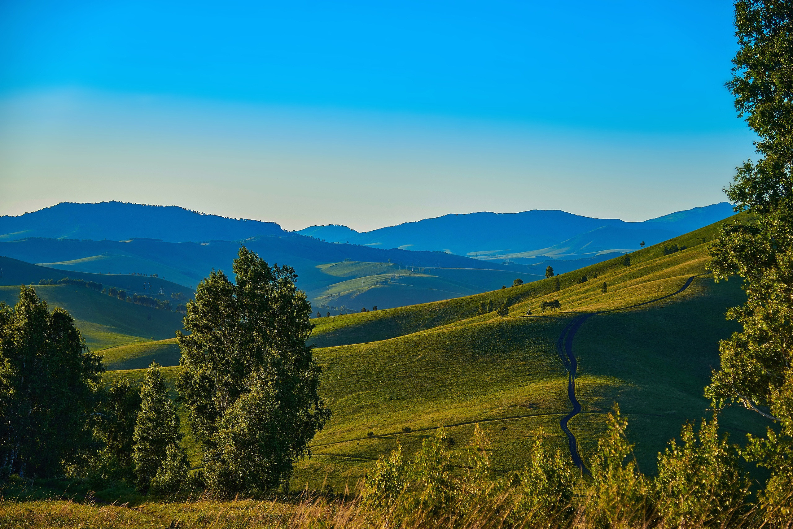 Пейзажный фотограф в Горном Алтае: съёмки природы и гор. Фотограф Опыт Качество Скорость Горный Алтай Барнаул