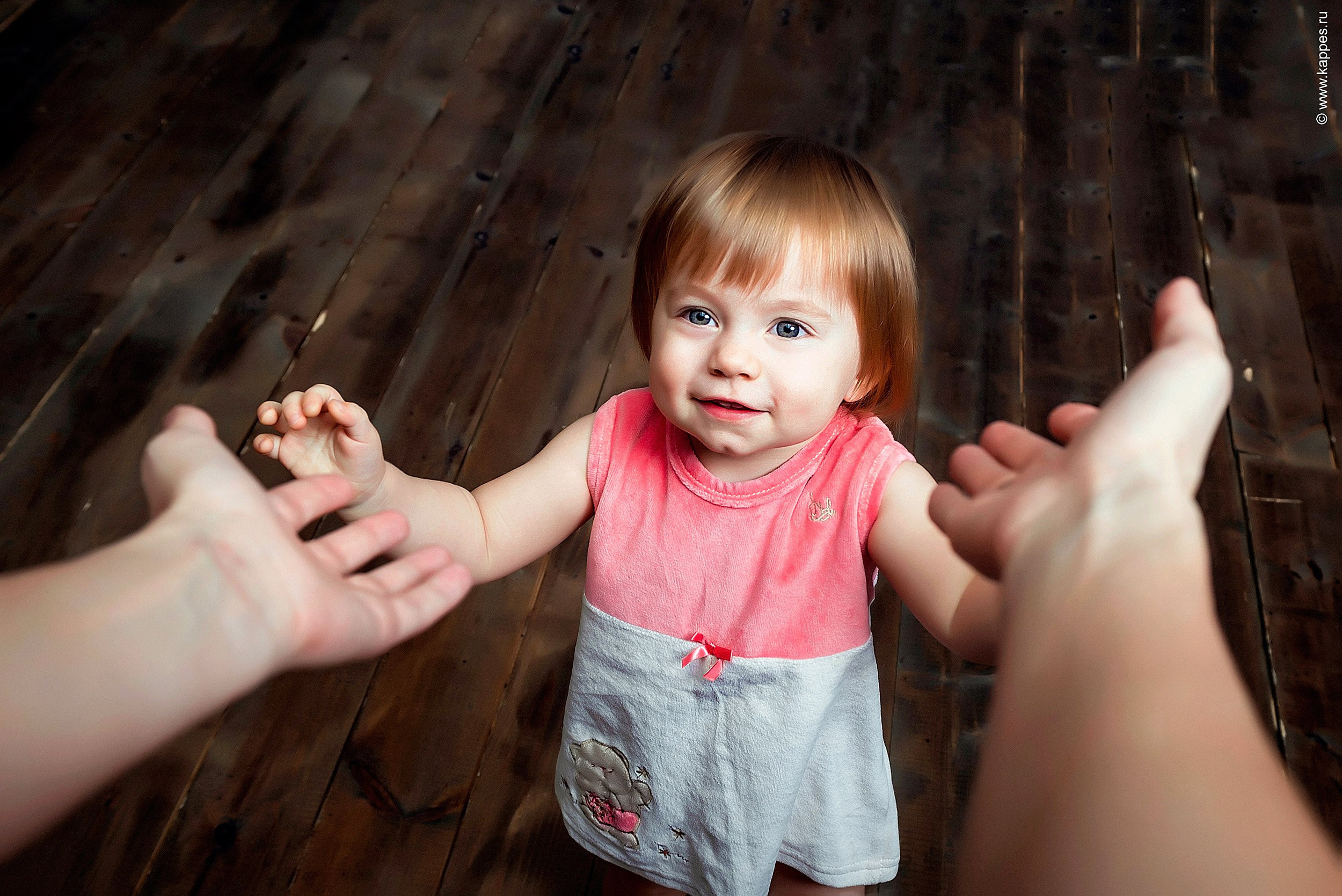 Общее портфолио. Фотограф Опыт Качество Скорость Горный Алтай Барнаул