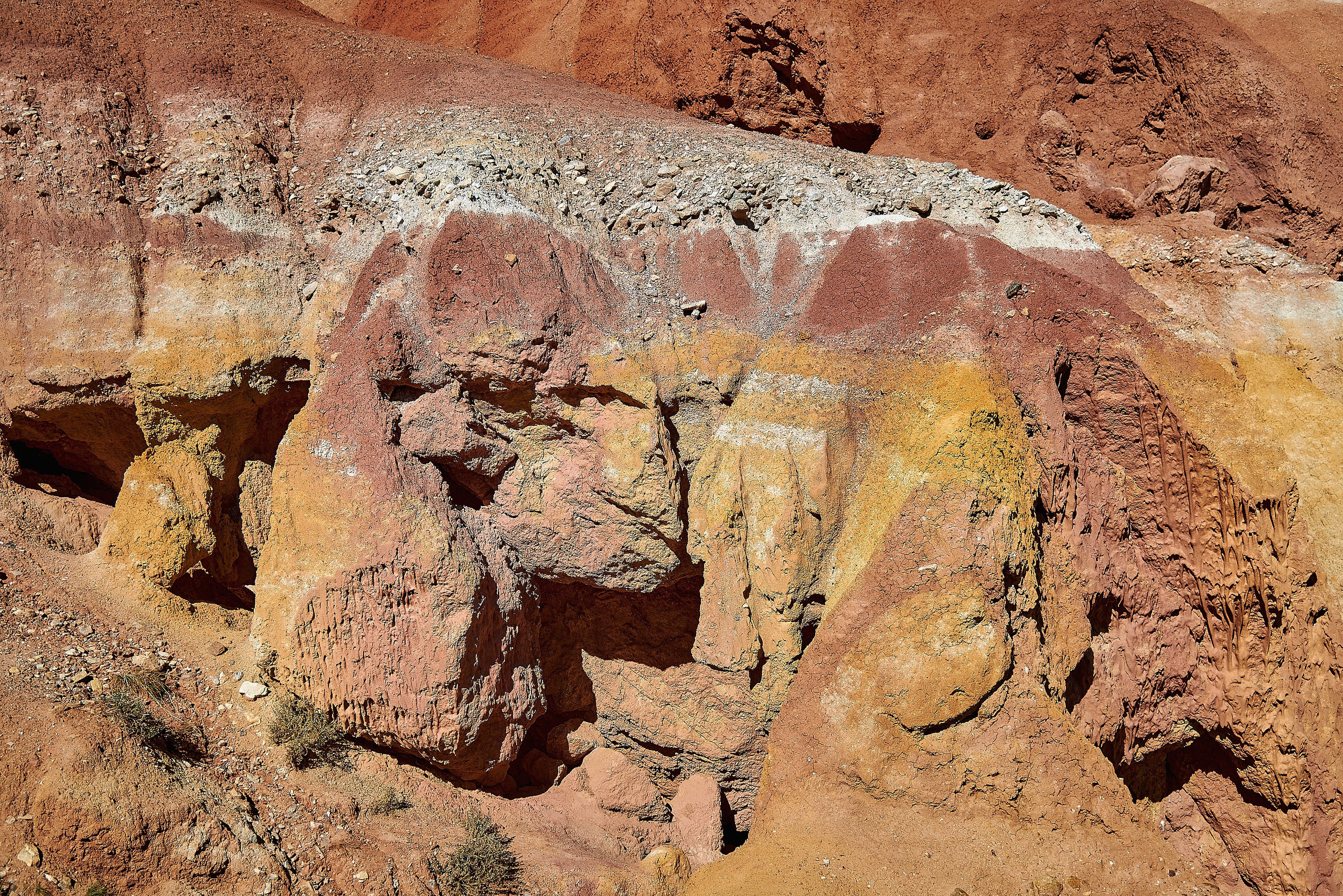 Пейзажный фотограф в Горном Алтае: съёмки природы и гор. Фотограф Опыт Качество Скорость Горный Алтай Барнаул