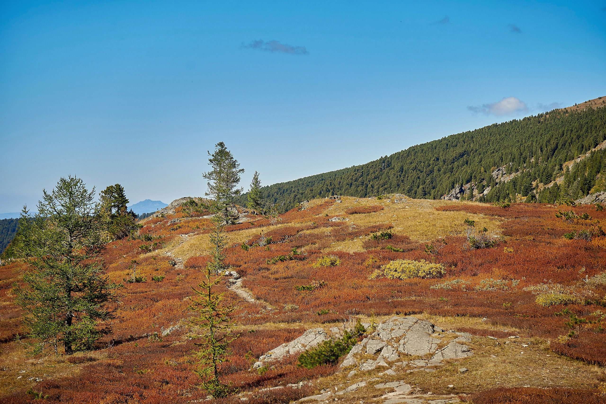 Пейзажный фотограф в Горном Алтае: съёмки природы и гор. Фотограф Опыт Качество Скорость Горный Алтай Барнаул