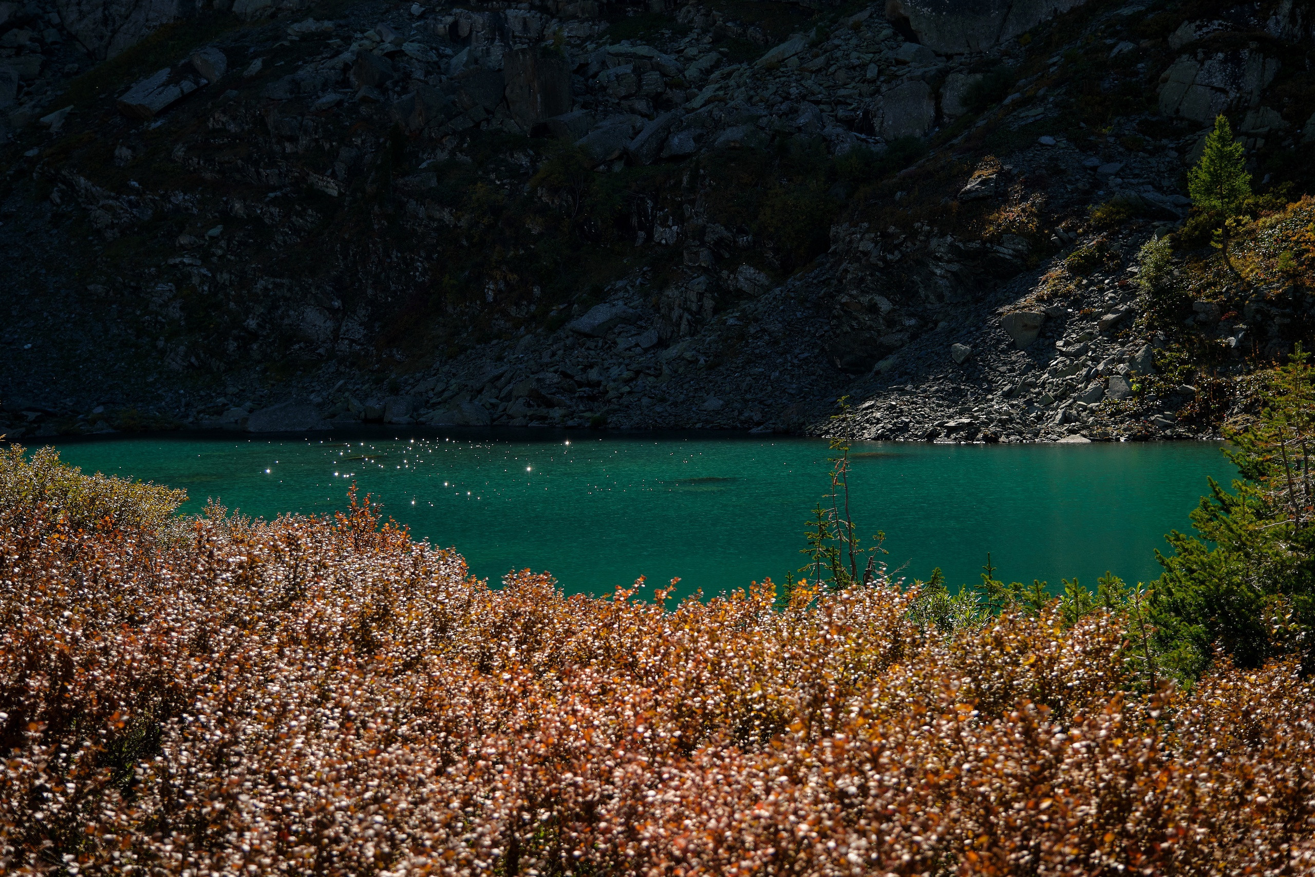 Пейзажный фотограф в Горном Алтае: съёмки природы и гор. Фотограф Опыт Качество Скорость Горный Алтай Барнаул