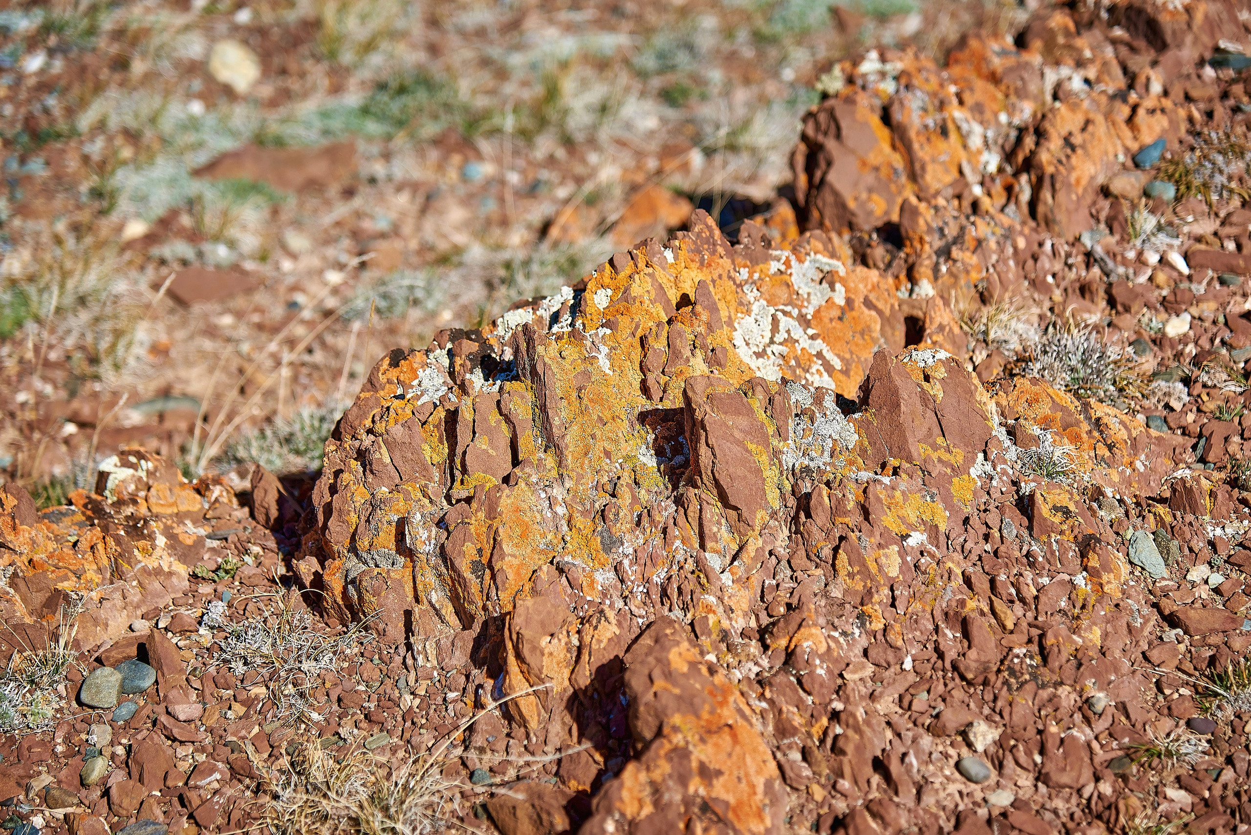 Пейзажный фотограф в Горном Алтае: съёмки природы и гор. Фотограф Опыт Качество Скорость Горный Алтай Барнаул