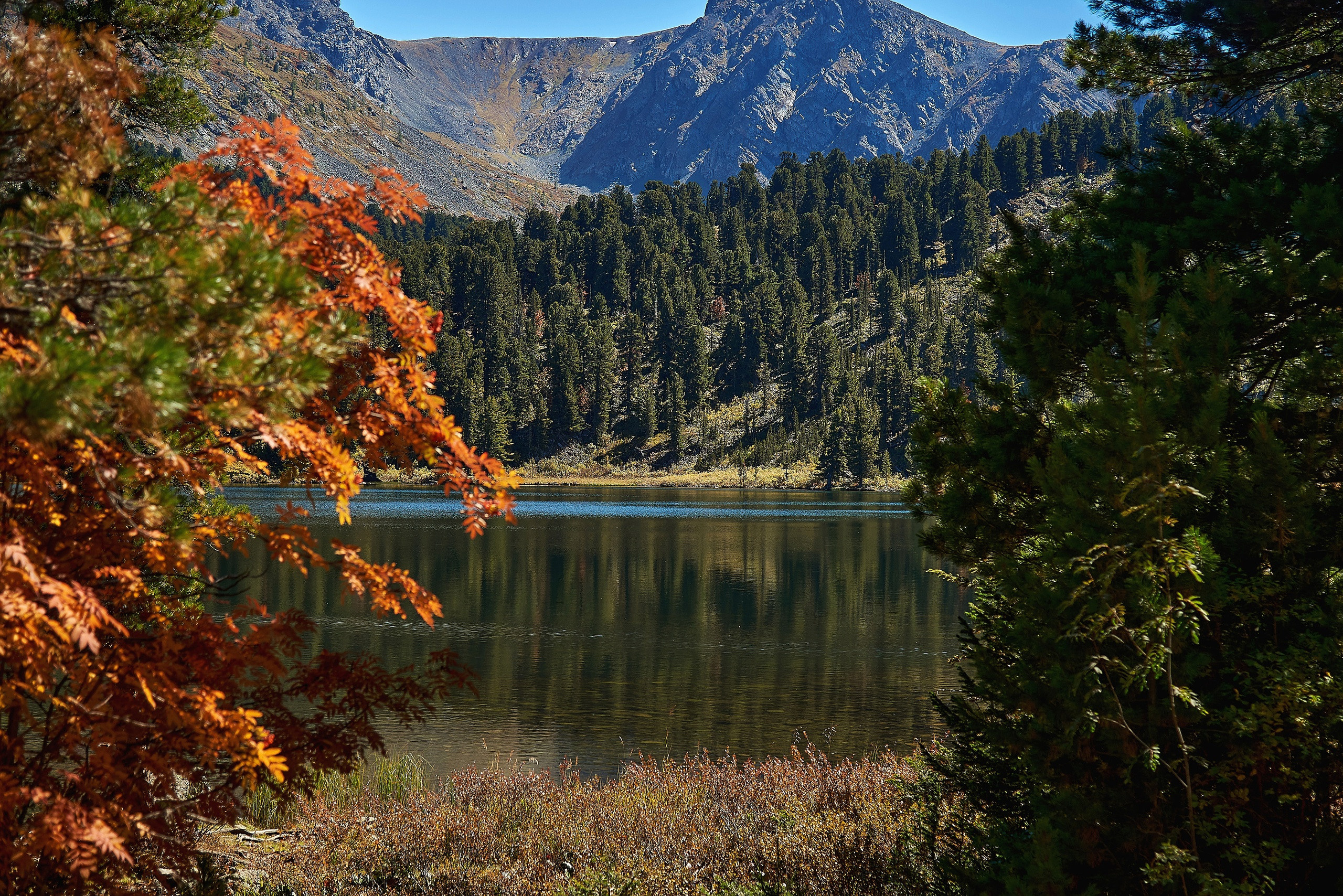 Пейзажный фотограф в Горном Алтае: съёмки природы и гор. Фотограф Опыт Качество Скорость Горный Алтай Барнаул