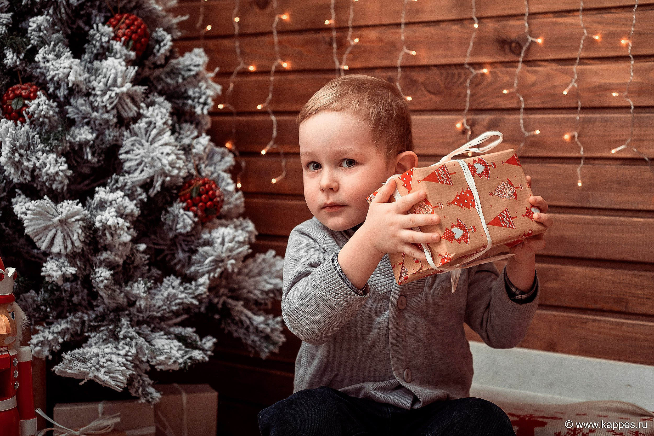 Семейный фотограф Барнаул фотограф для семьи Детский фотограф. Фотограф Опыт Качество Скорость Горный Алтай Барнаул