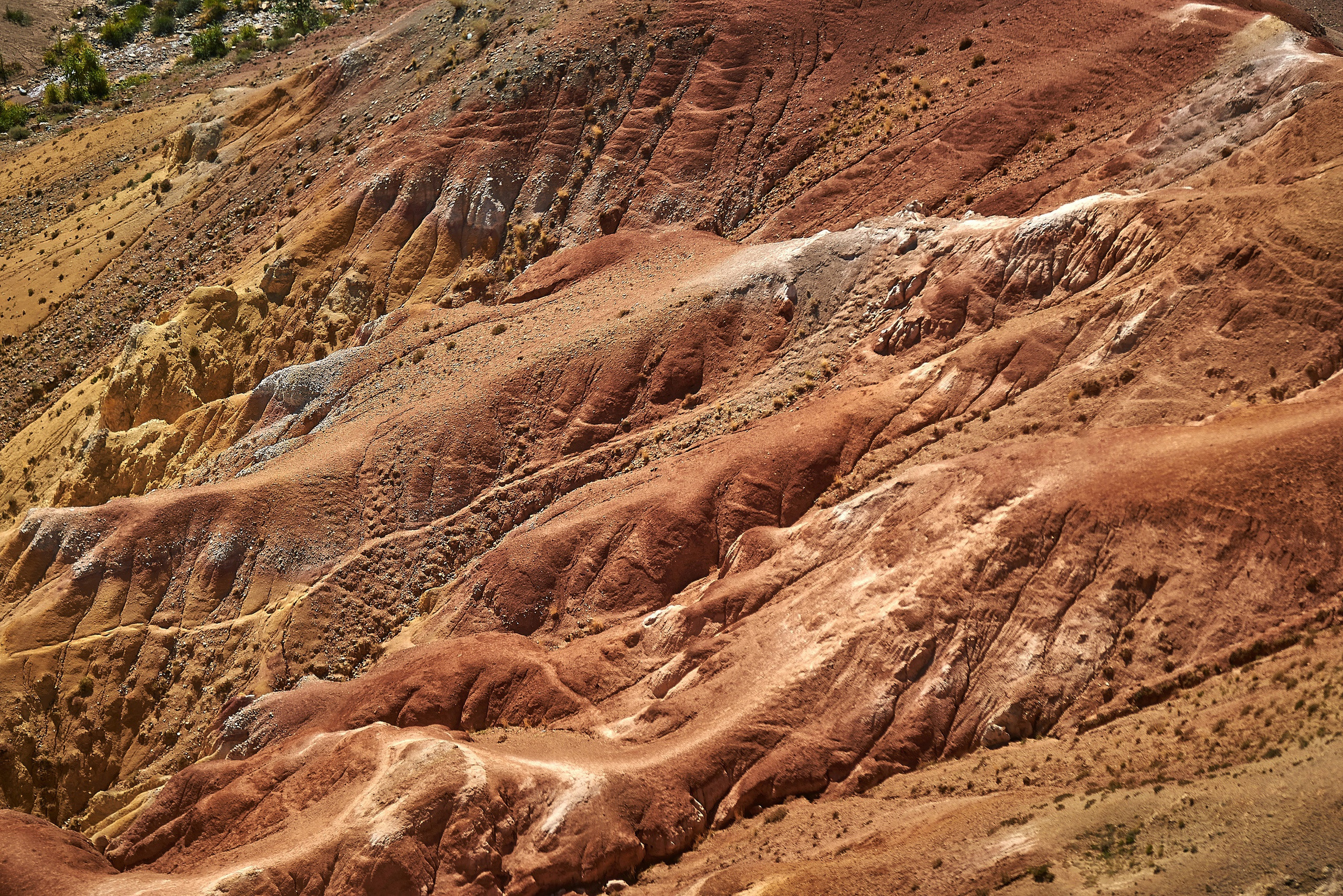 Пейзажный фотограф в Горном Алтае: съёмки природы и гор. Фотограф Опыт Качество Скорость Горный Алтай Барнаул