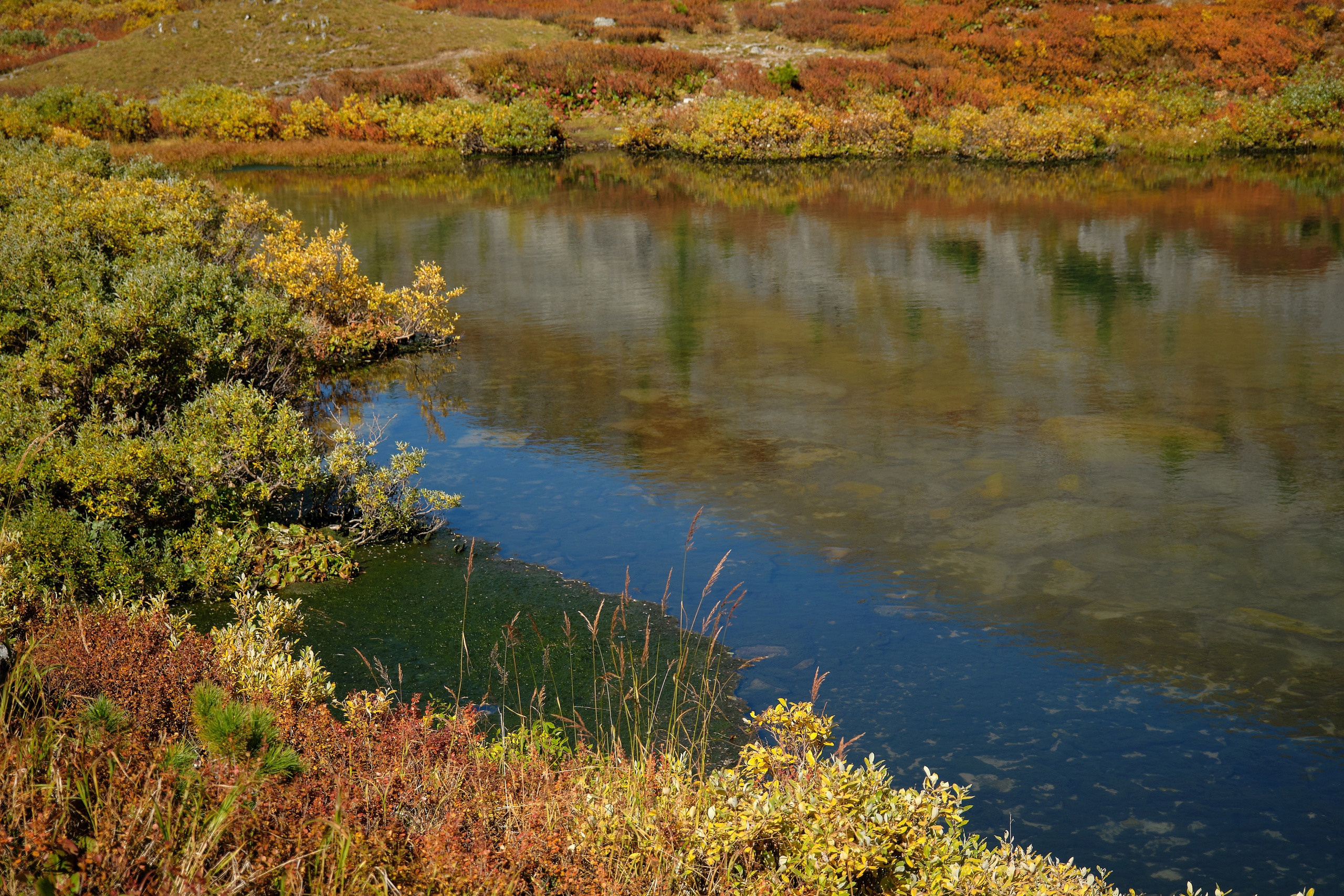 Пейзажный фотограф в Горном Алтае: съёмки природы и гор. Фотограф Опыт Качество Скорость Горный Алтай Барнаул
