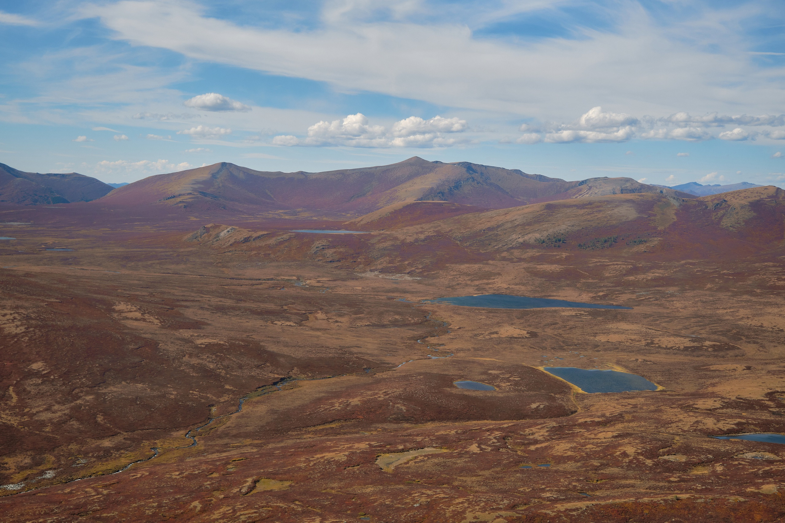 Пейзажный фотограф в Горном Алтае: съёмки природы и гор. Фотограф Опыт Качество Скорость Горный Алтай Барнаул