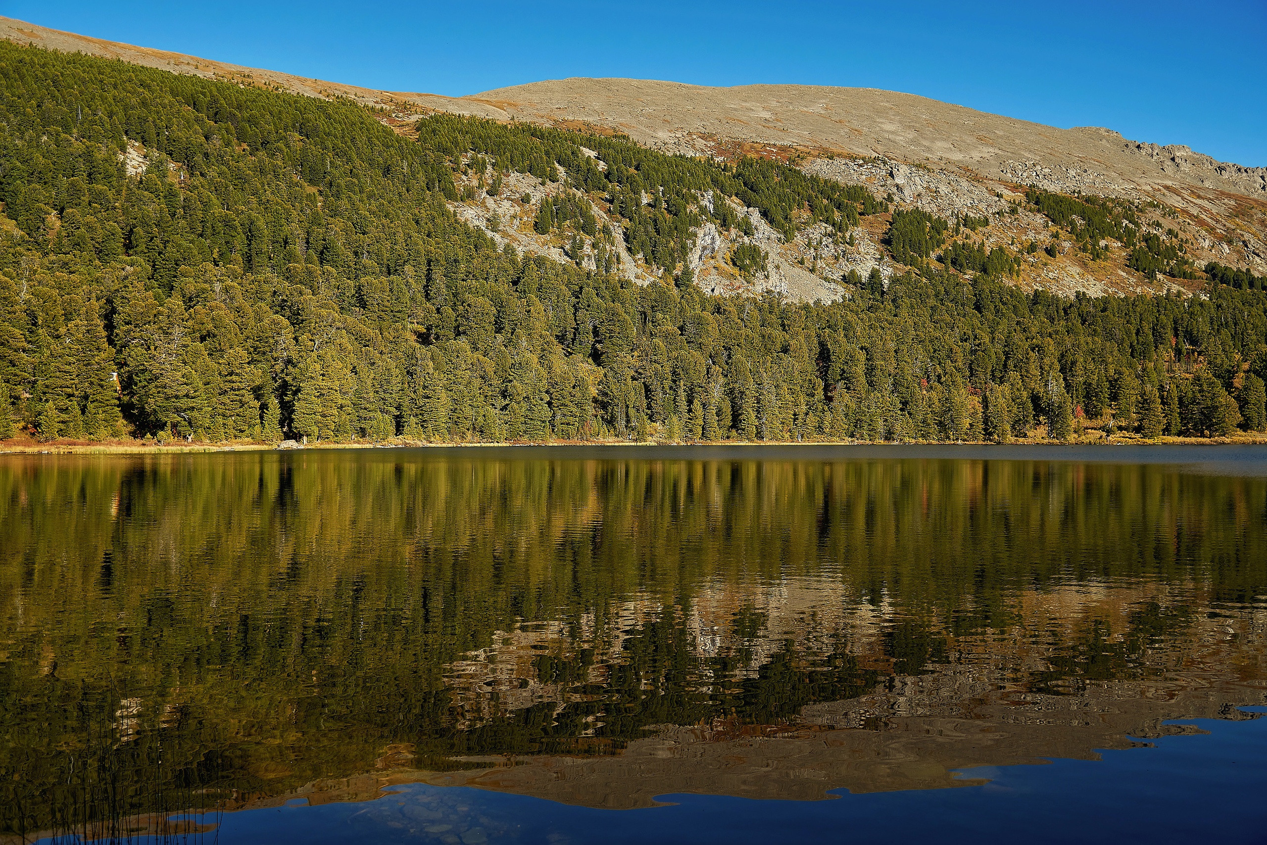 Пейзажный фотограф в Горном Алтае: съёмки природы и гор. Фотограф Опыт Качество Скорость Горный Алтай Барнаул