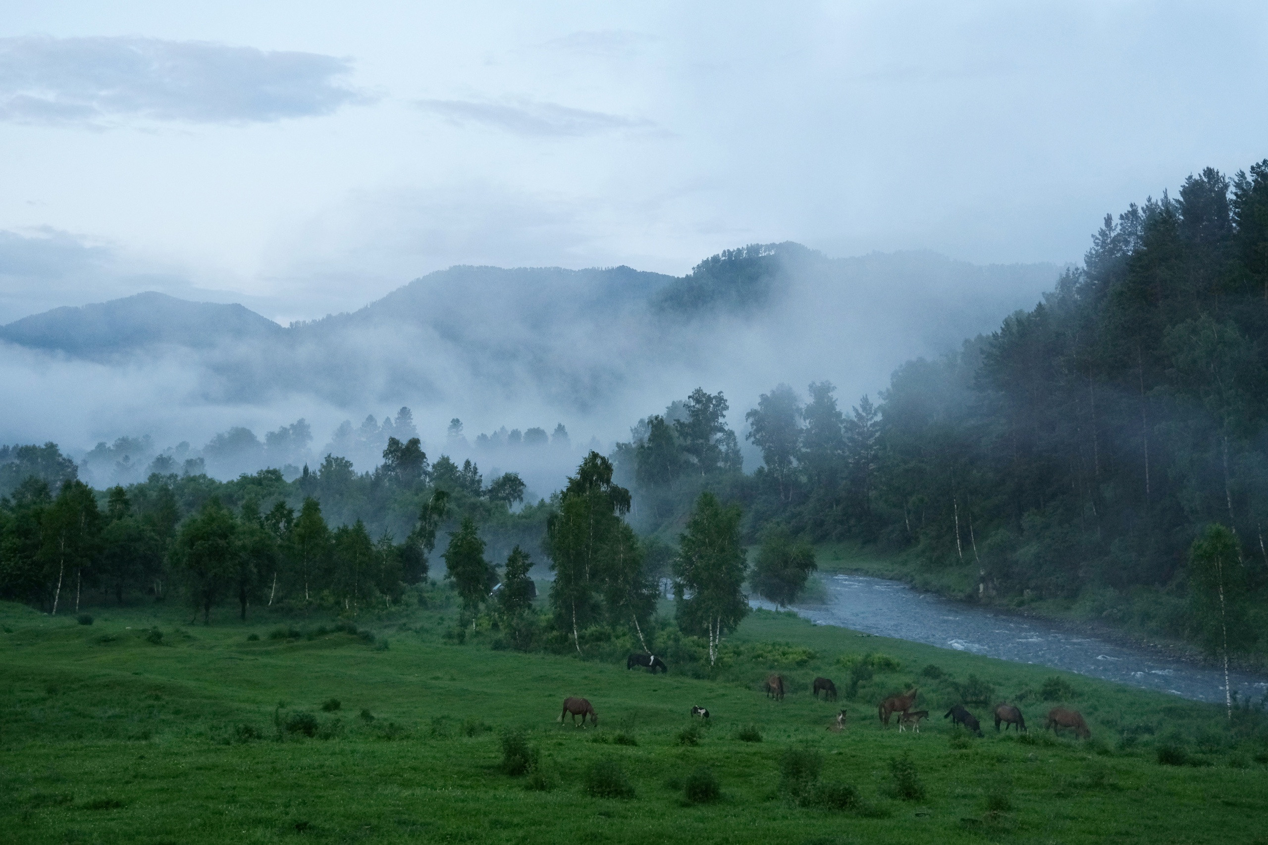 Пейзажный фотограф в Горном Алтае: съёмки природы и гор. Фотограф Опыт Качество Скорость Горный Алтай Барнаул
