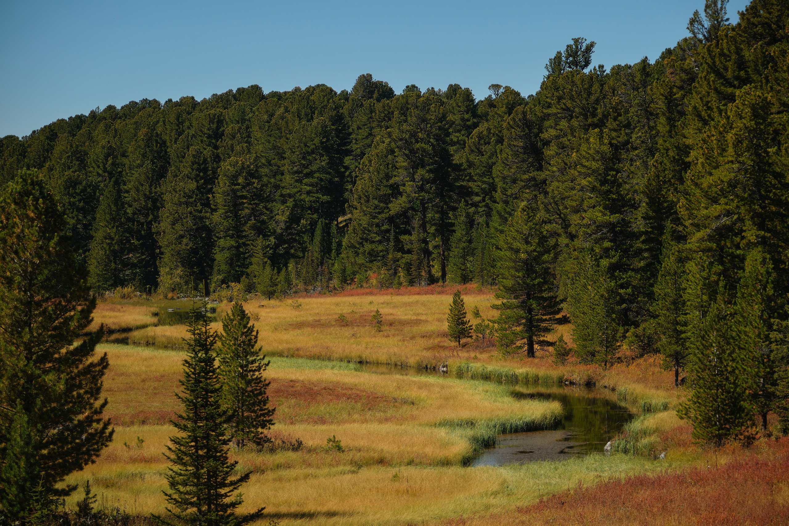 Пейзажный фотограф в Горном Алтае: съёмки природы и гор. Фотограф Опыт Качество Скорость Горный Алтай Барнаул
