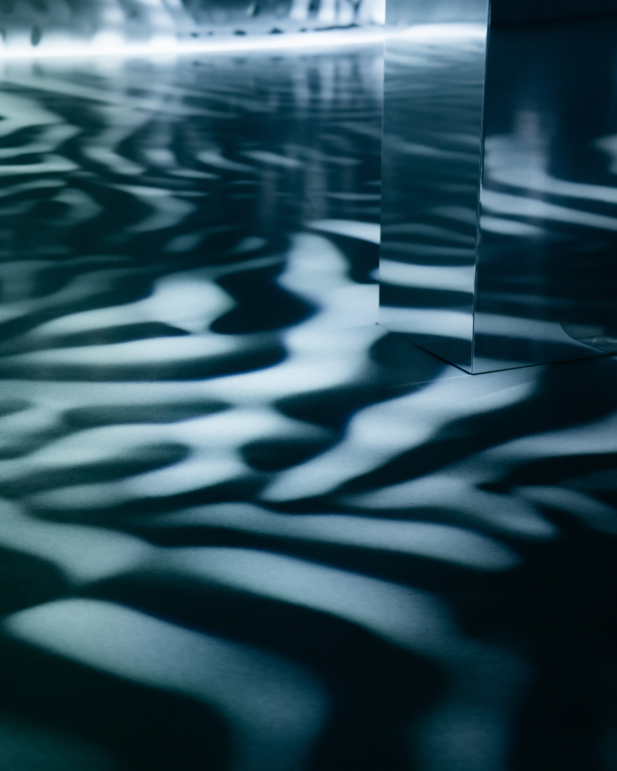 Generative Gallery & Luminar X, Making Magic. @tomrus: Рустам Шагиморданов — фотограф