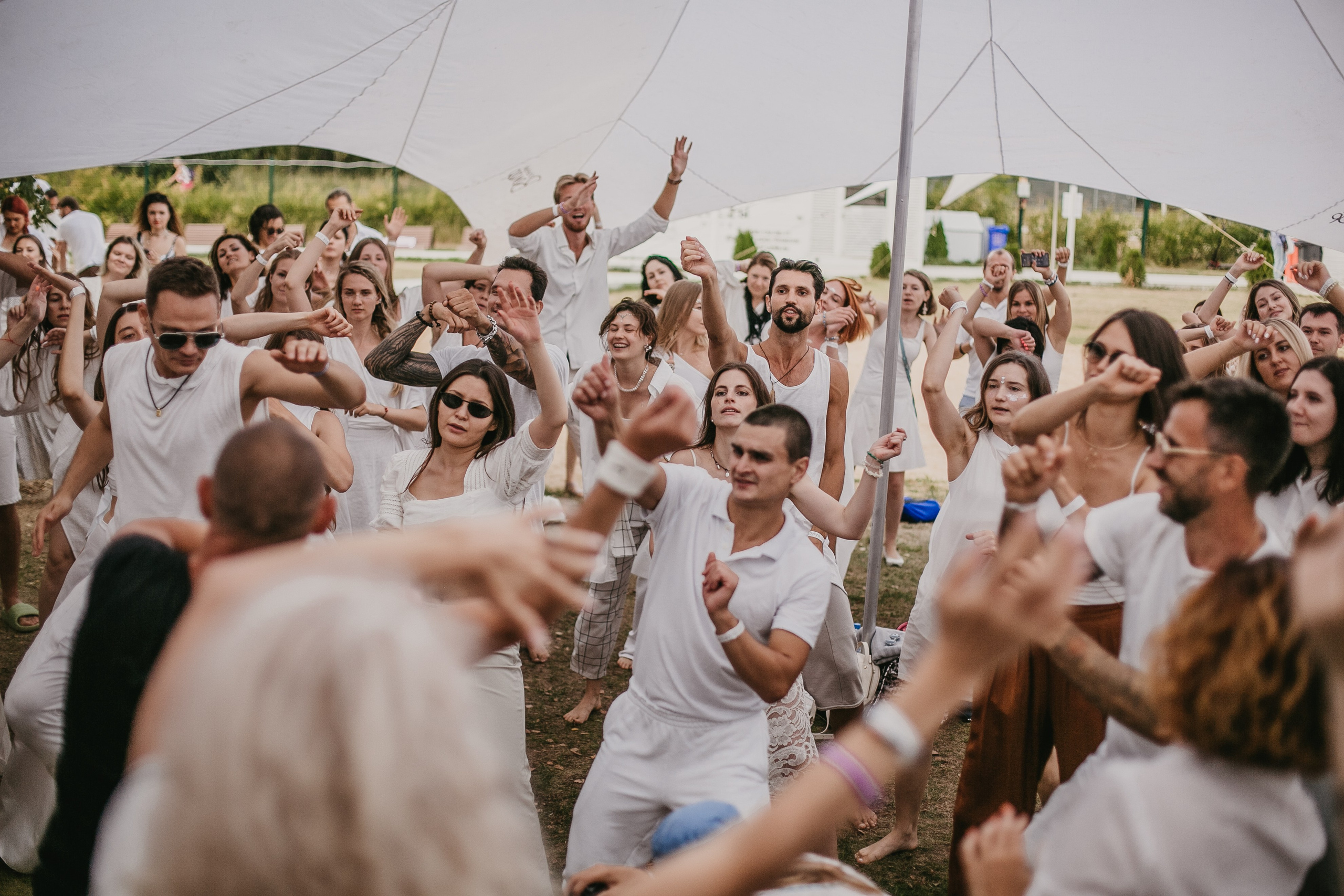 Ecstatic Sensation White в парке Берёзы. Семейный и портретный фотограф, Москва, Калуга. Анастасия Андрексон