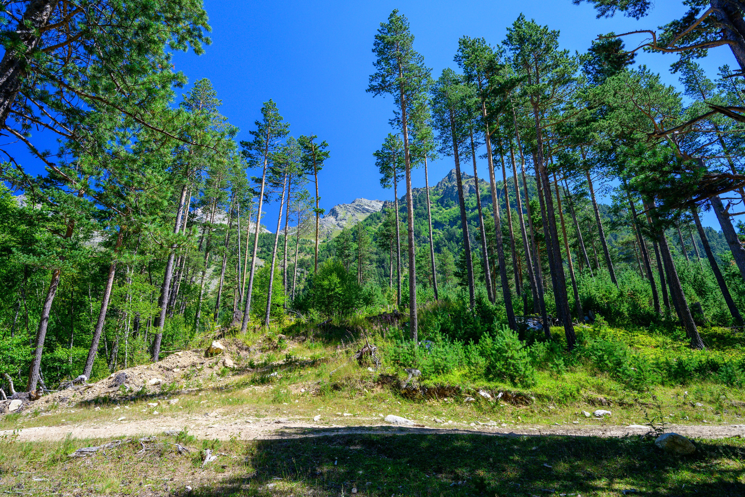 Экспедиция 2025