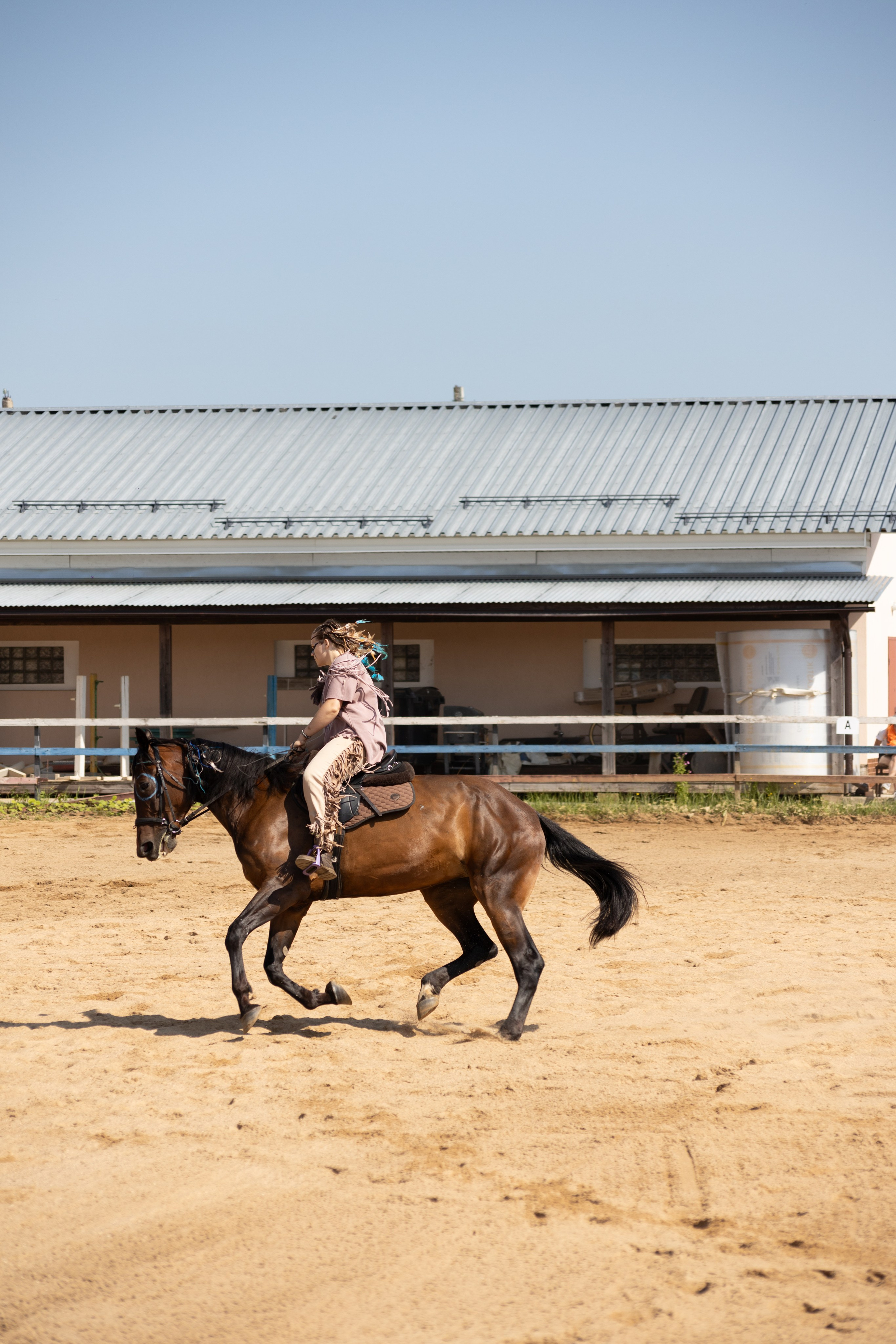 Конюшня. Фотограф в Москве и Истре