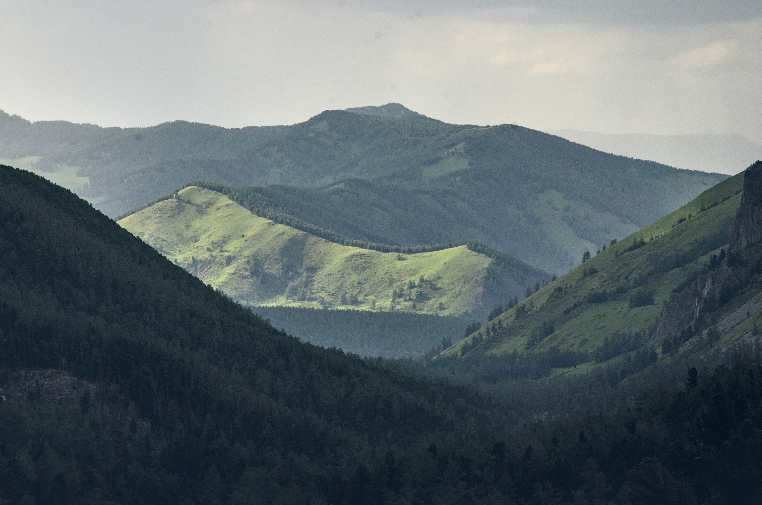 Алтай. Фотограф анималист, пейзажист, спортивные мероприятия. Новосибирск