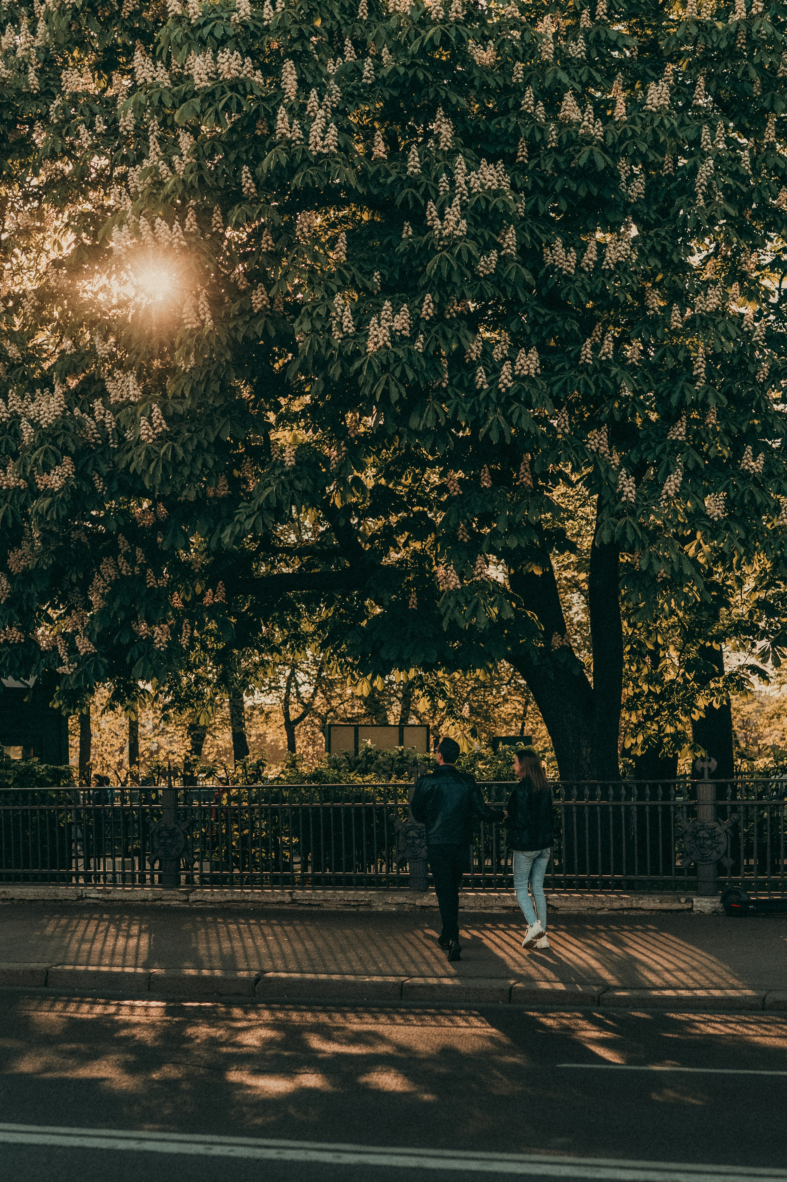 Питер в твоих волосах. Семейный и женский фотограф в Санкт-Петербурге Татьяна Стружкина