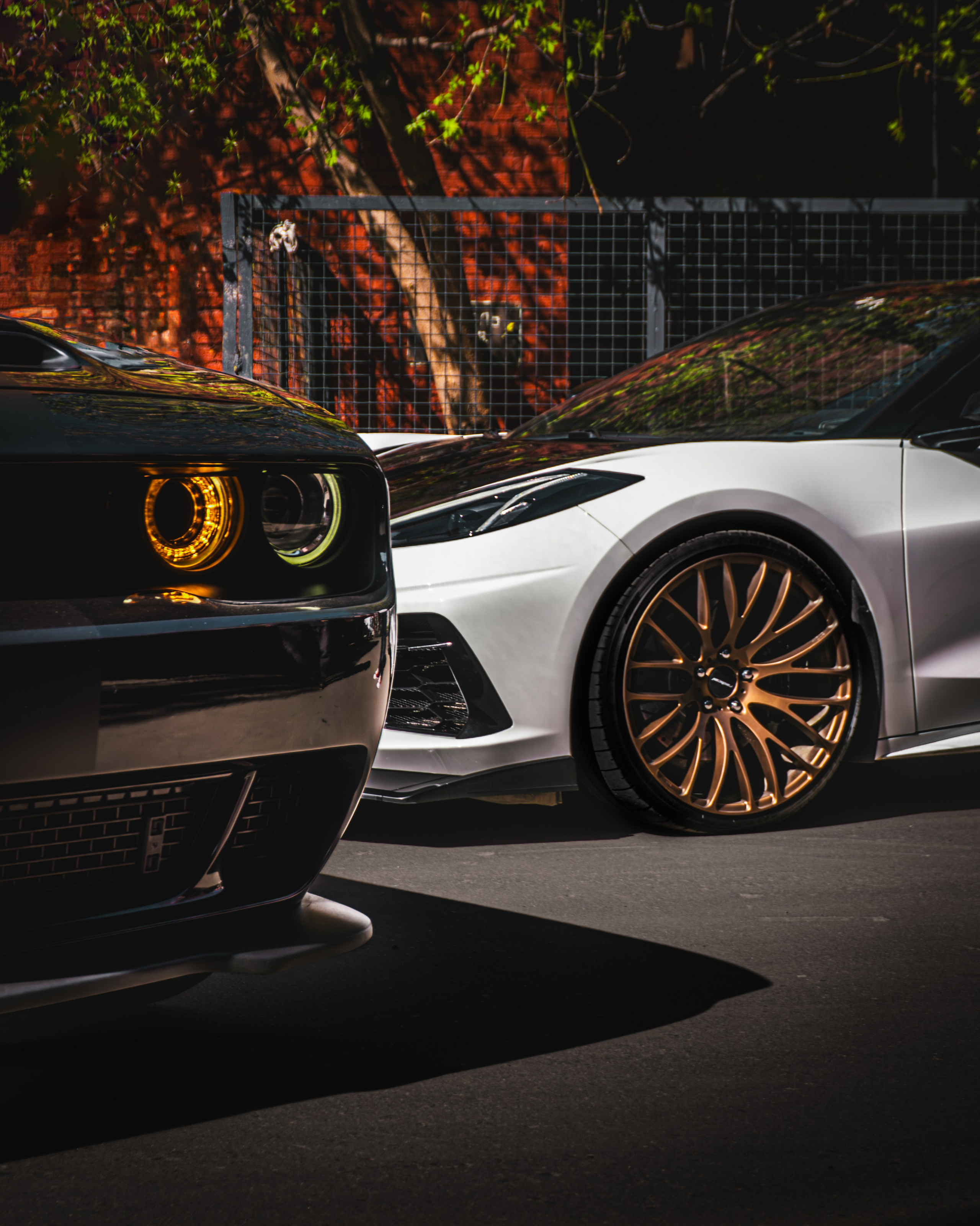 CHALLANGER & CORVETTE. Автомобильный фотограф в Москве
