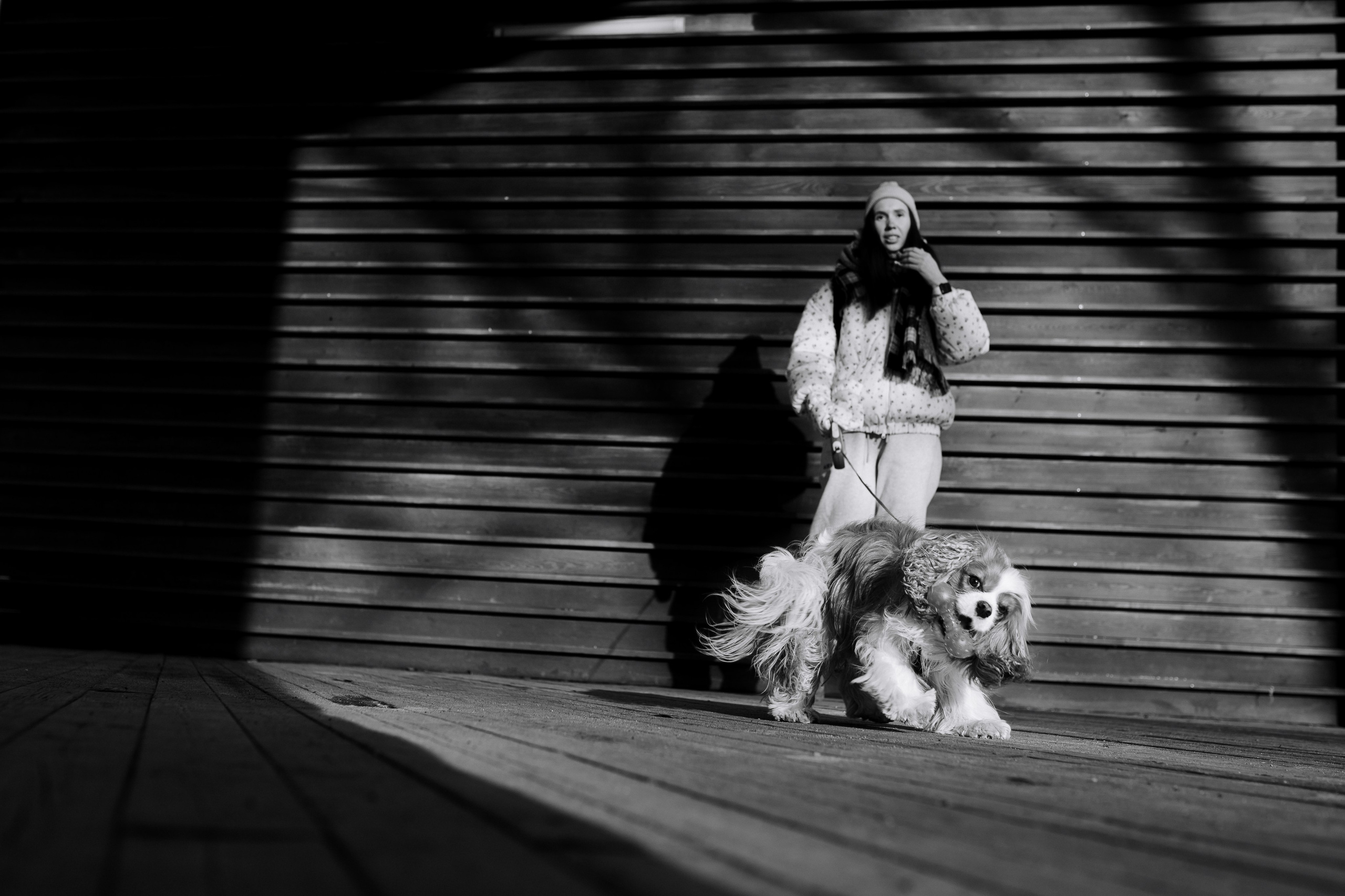 Лена и Арчи. Фотограф анималист в Москве Ольга Агушева