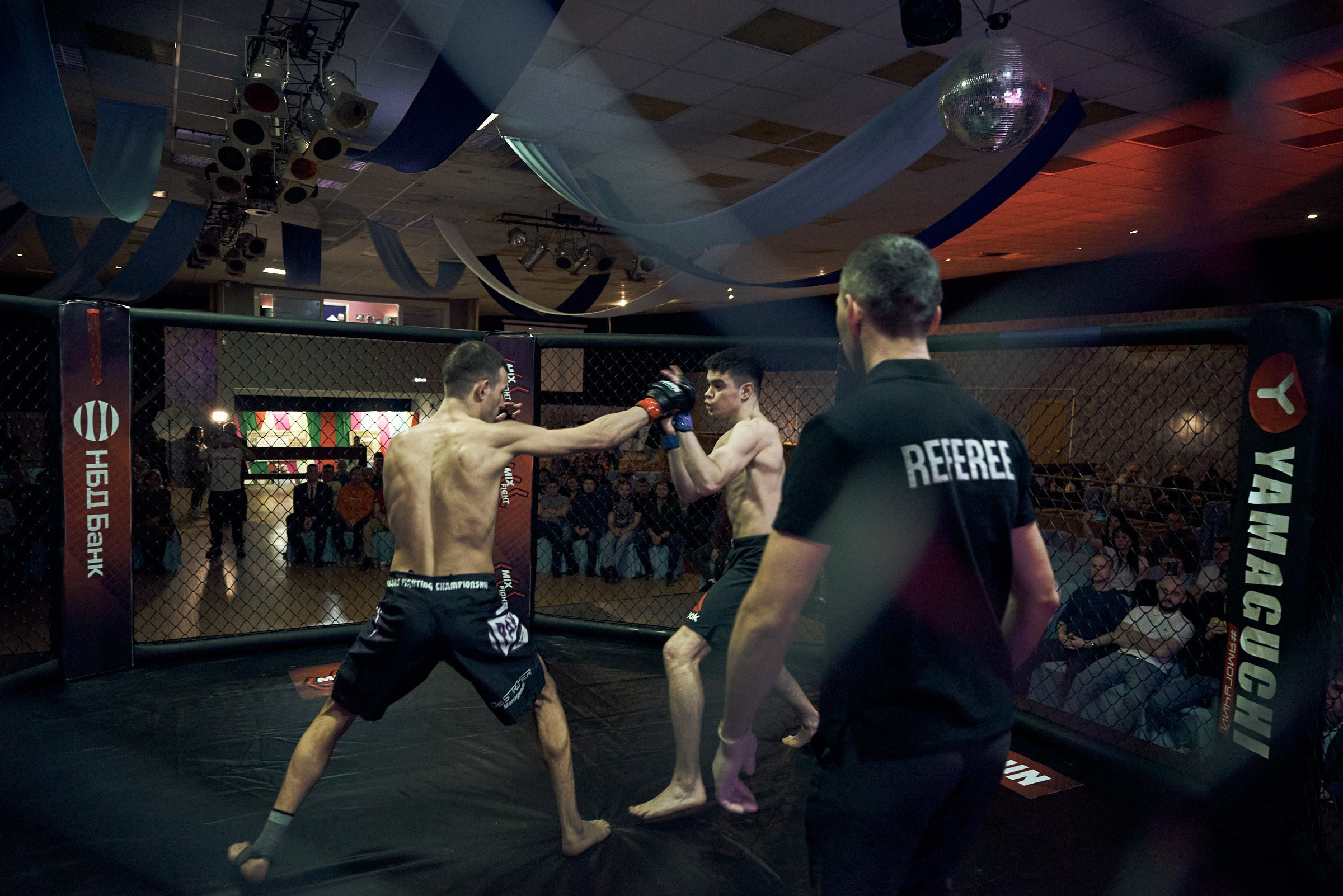 Бои. Маляревич Дмитрий свадебный фотограф