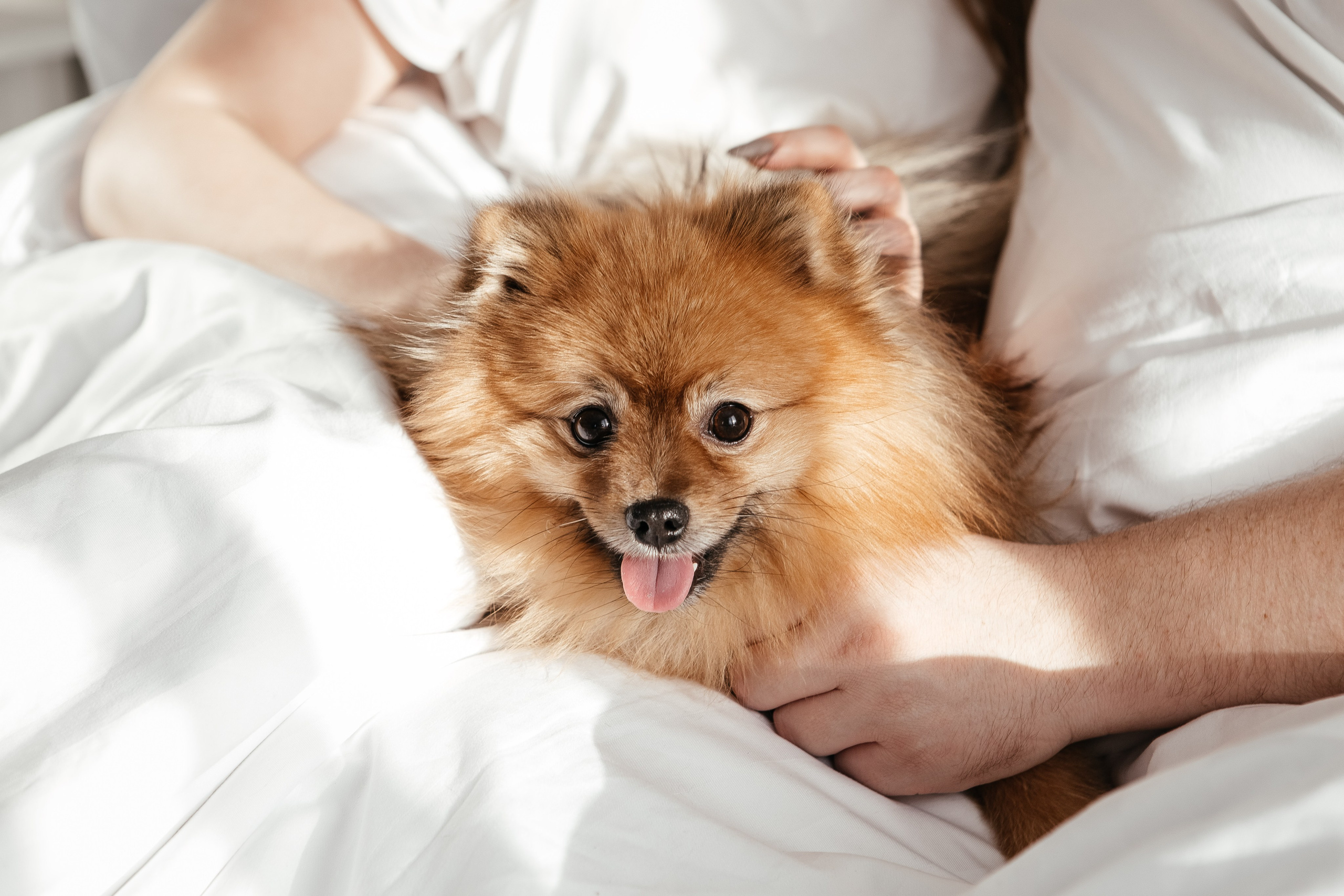 Семейный и свадебный фотограф в Томске | Екатерина Дворецкая