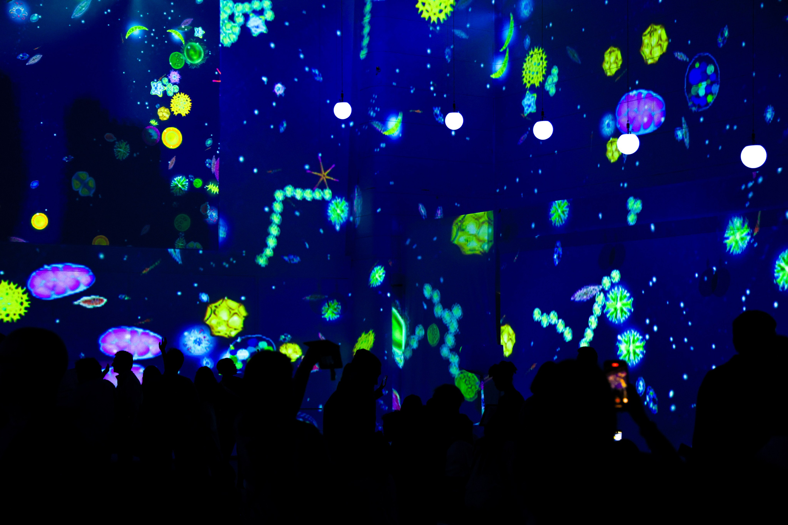 Nuit Blanche 2025. Portrait photographer based in Toronto — Blinova Mariia