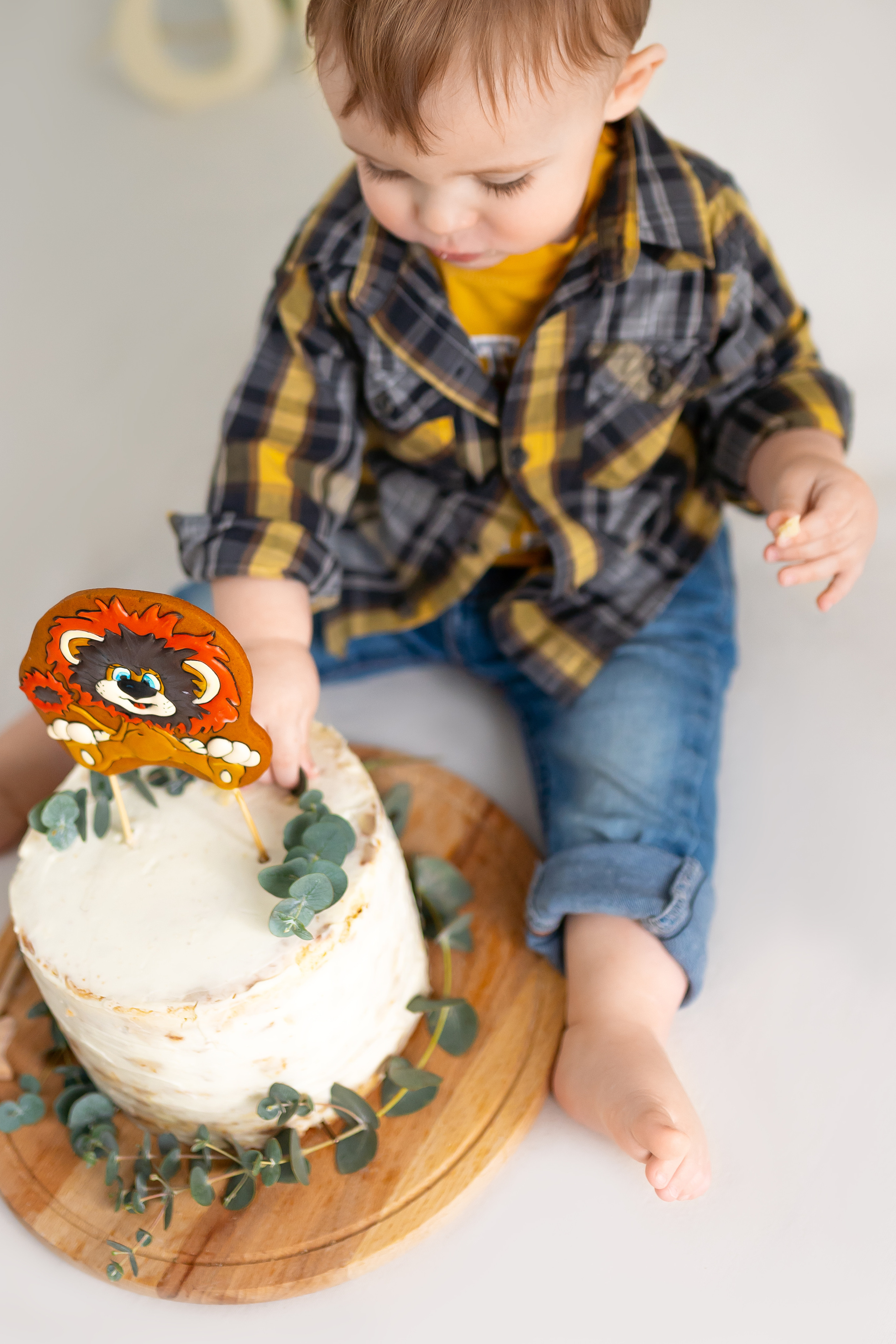 Лев 1 годик. Фотограф новорожденных Москва, Домодедово