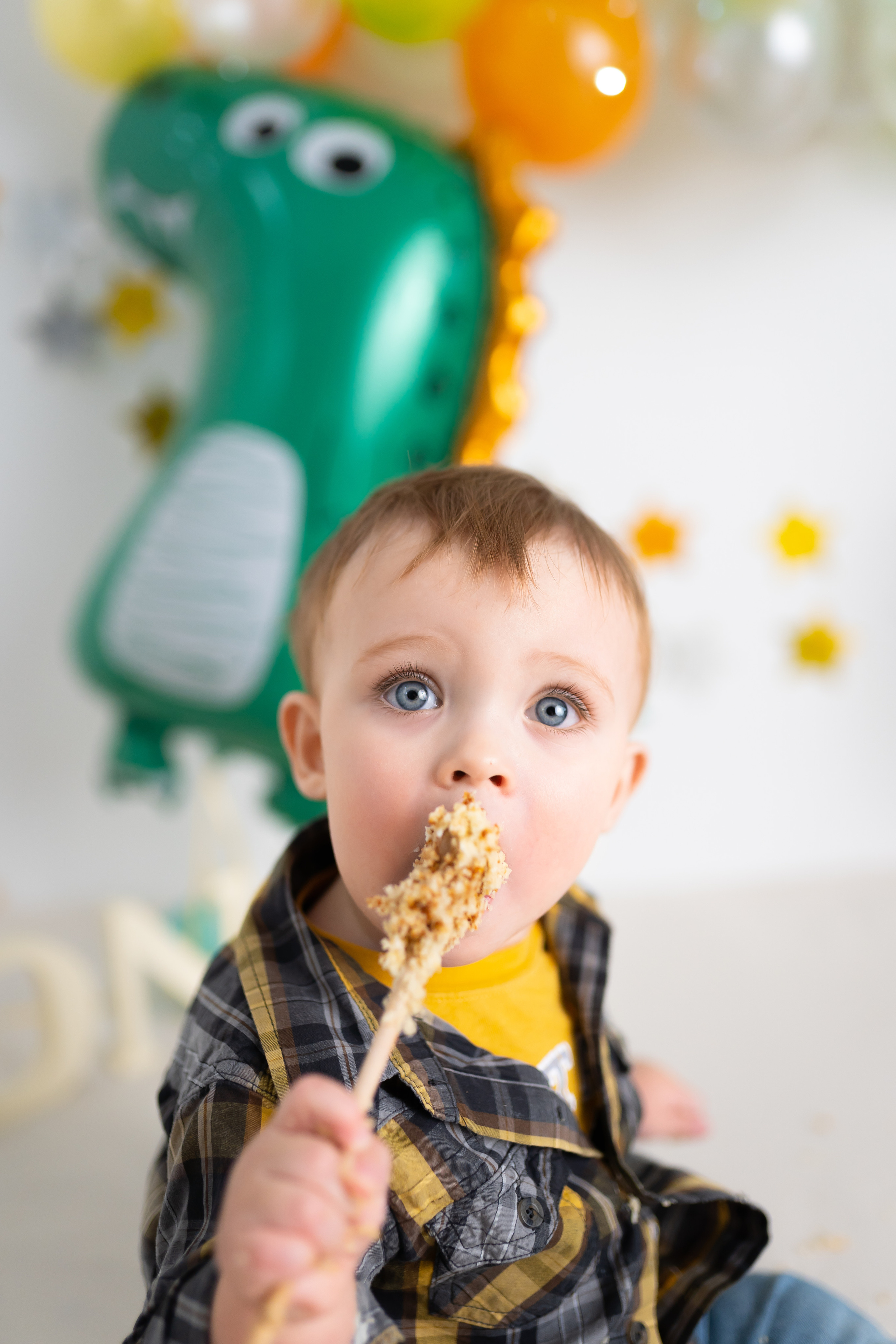 Лев 1 годик. Фотограф новорожденных Москва, Домодедово