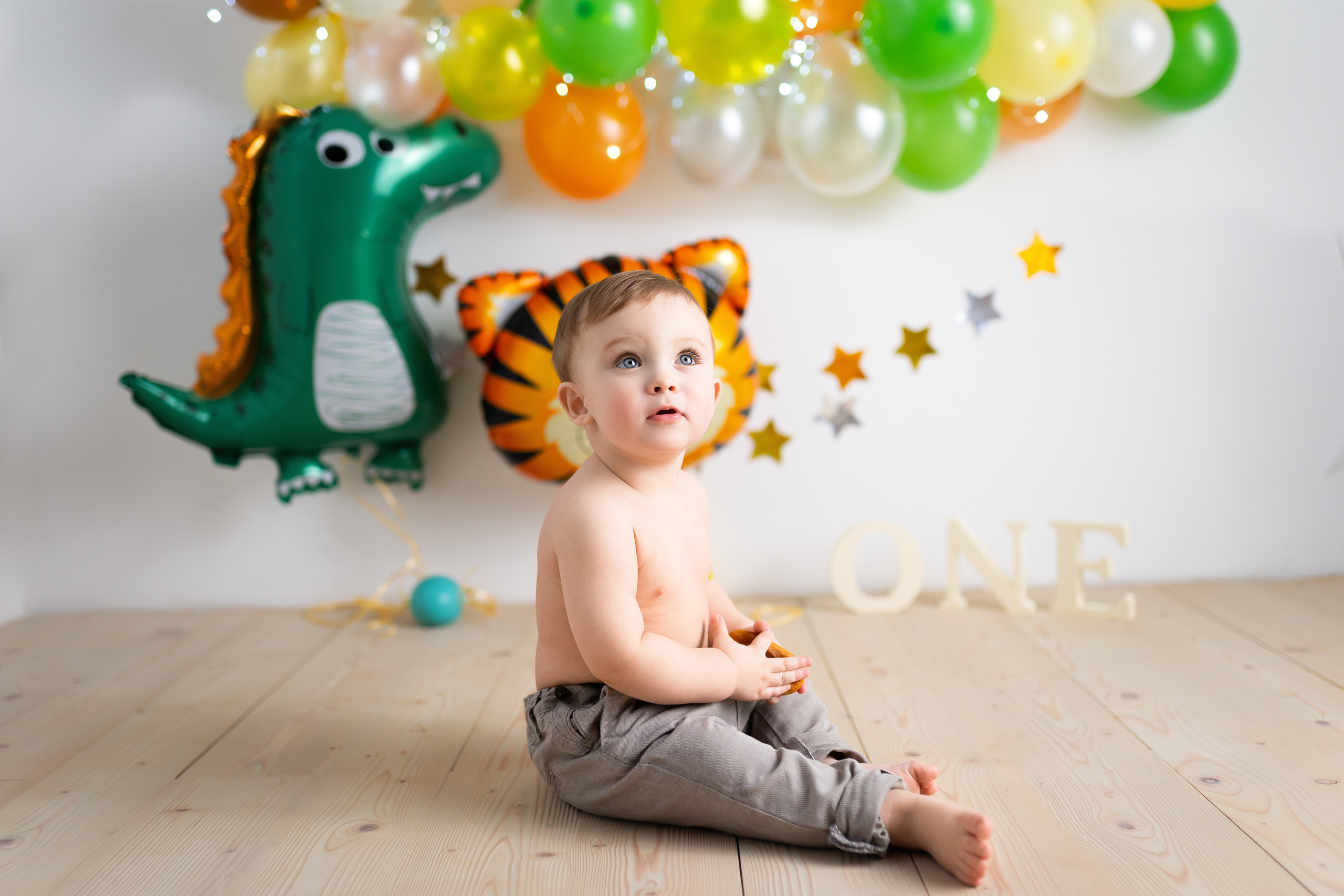 Лев 1 годик. Фотограф новорожденных Москва, Домодедово