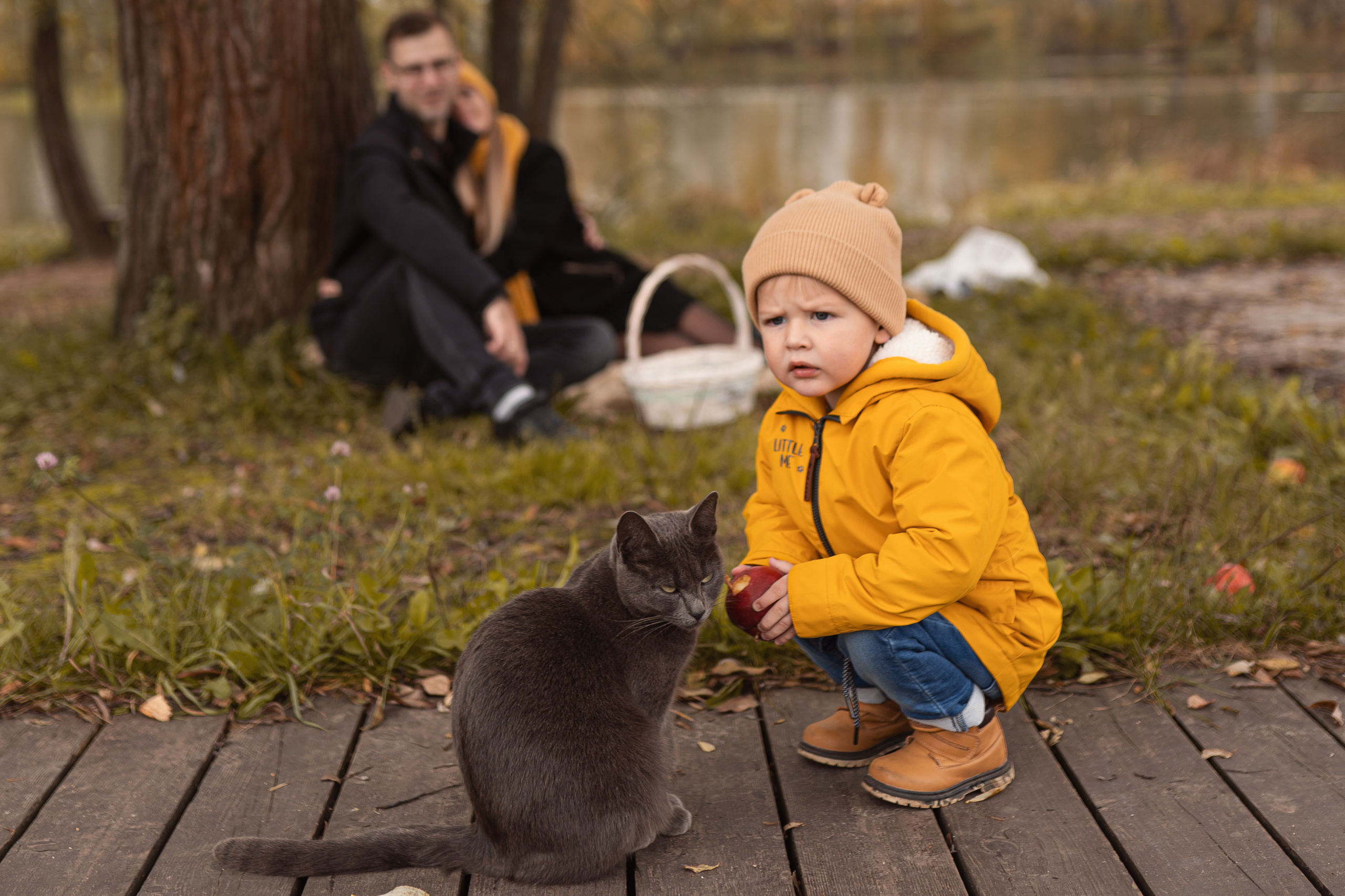 Осенняя прогулка Мишеньке 2 года. Фотограф новорожденных Москва, Домодедово