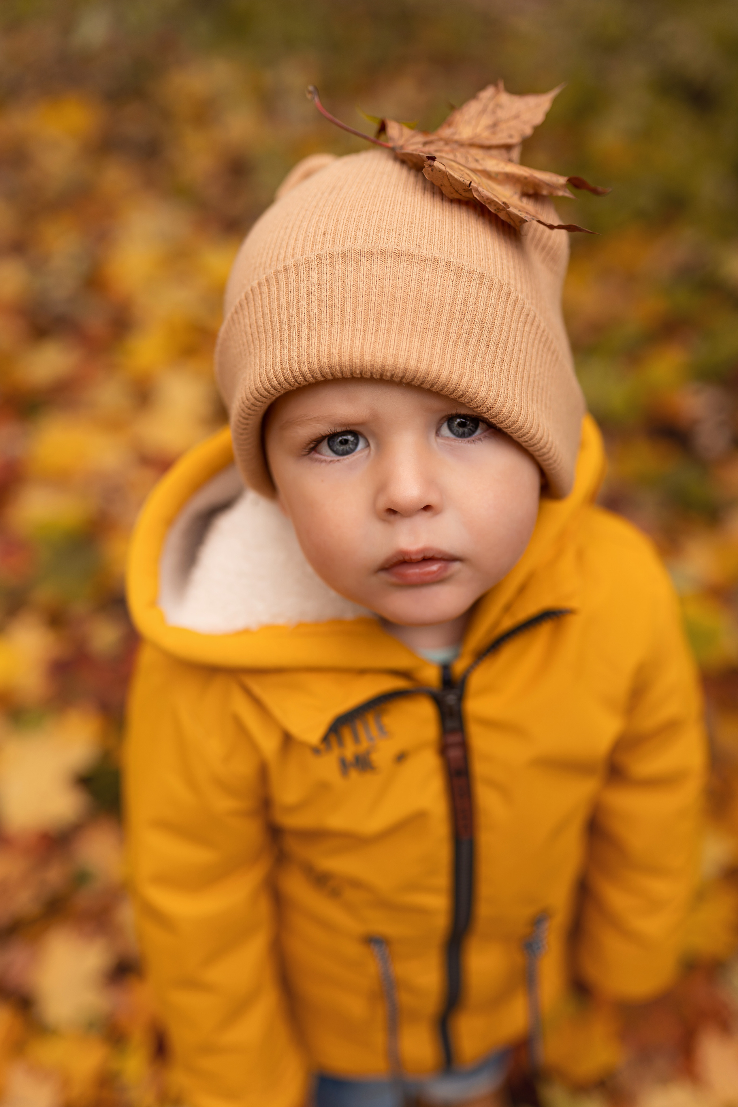 Осенняя прогулка Мишеньке 2 года. Фотограф новорожденных Москва, Домодедово
