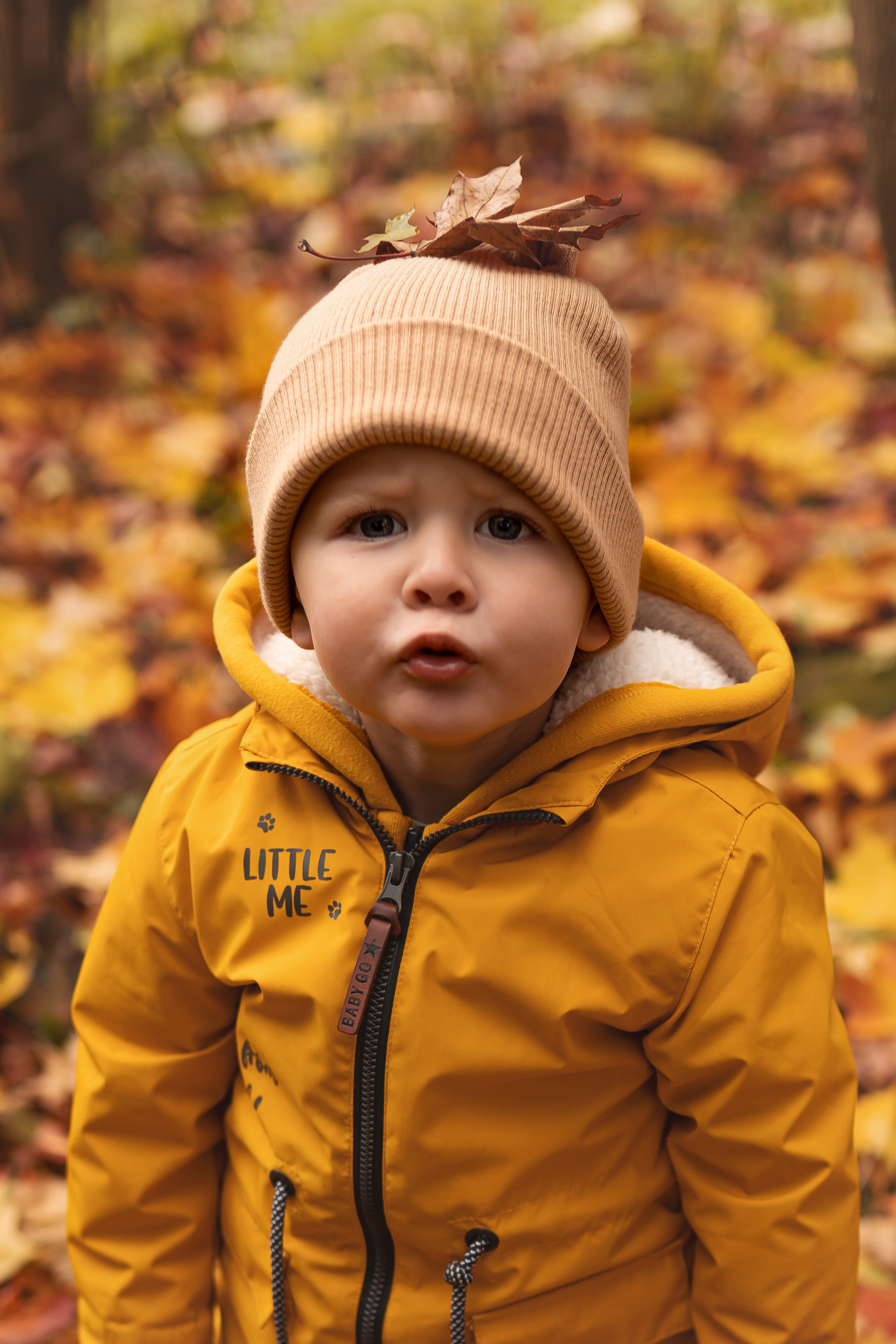 Осенняя прогулка Мишеньке 2 года. Фотограф новорожденных Москва, Домодедово
