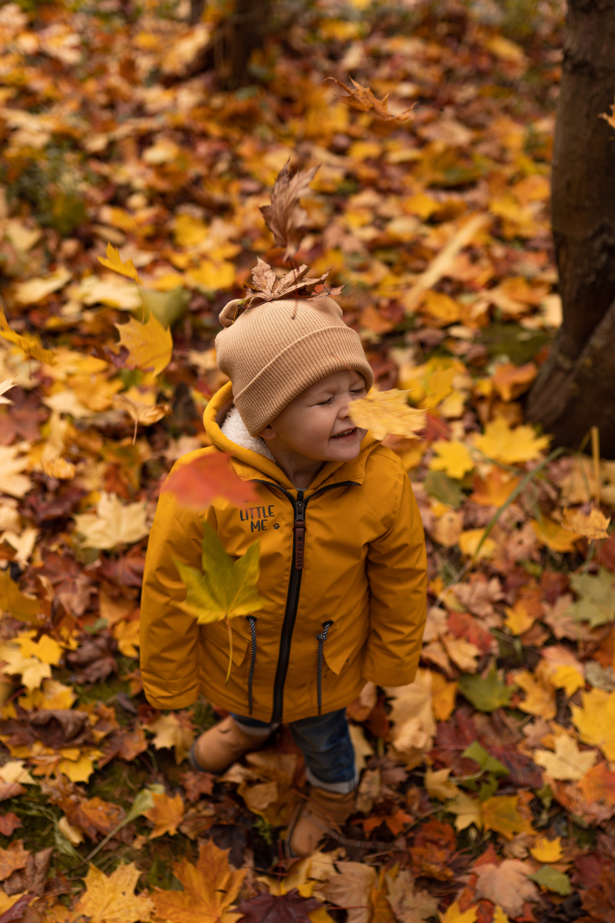 Осенняя прогулка Мишеньке 2 года. Фотограф новорожденных Москва, Домодедово