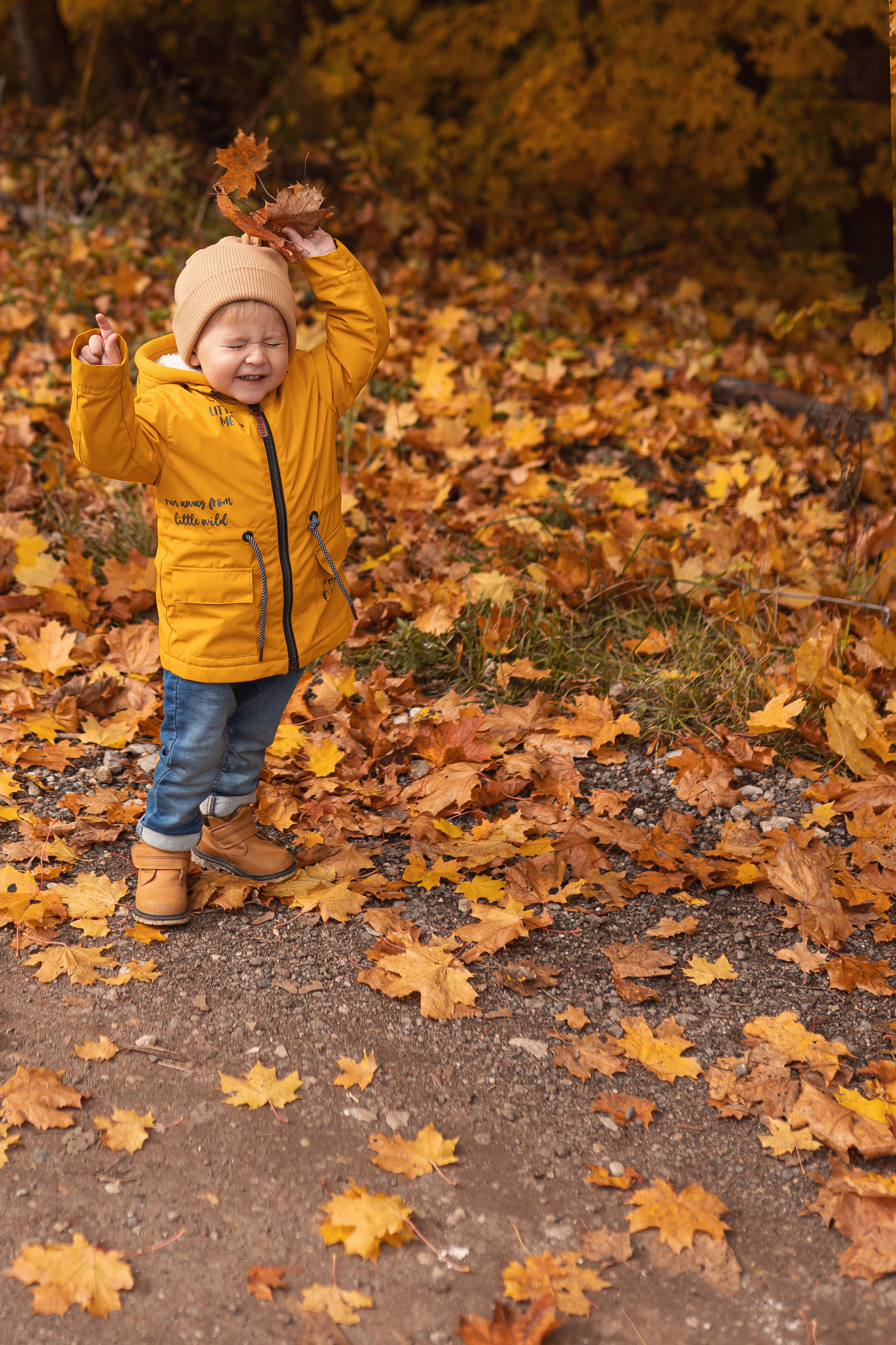 Осенняя прогулка Мишеньке 2 года. Фотограф новорожденных Москва, Домодедово