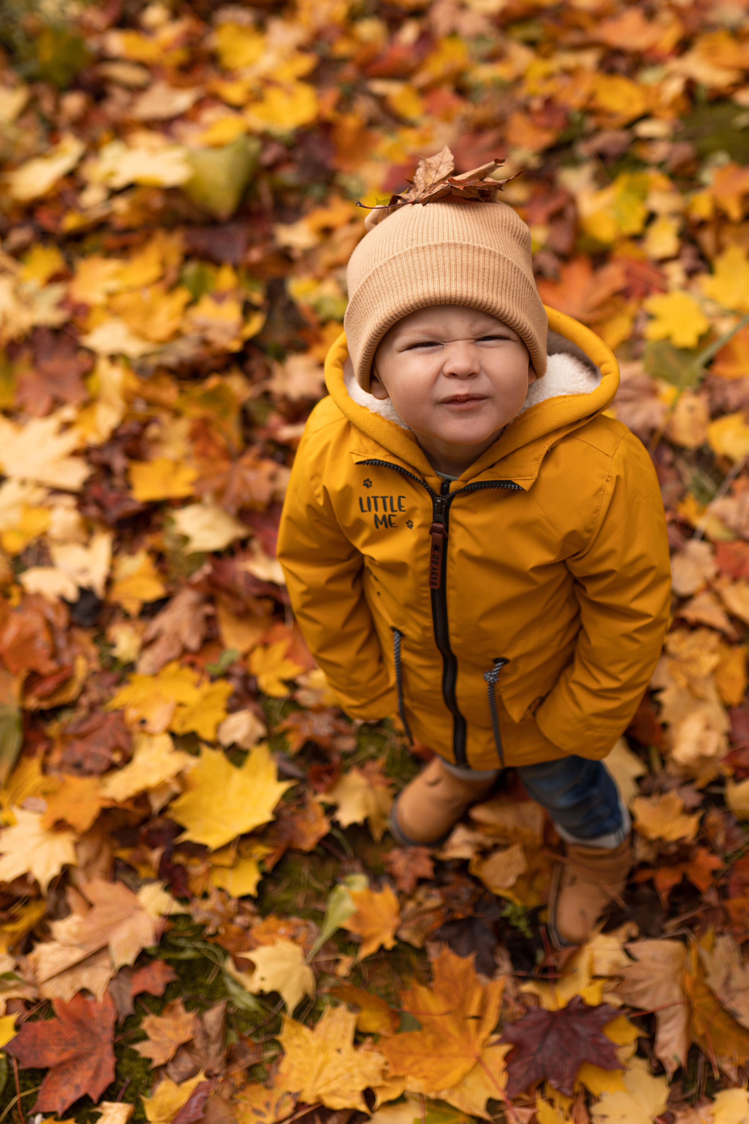 Осенняя прогулка Мишеньке 2 года. Фотограф новорожденных Москва, Домодедово