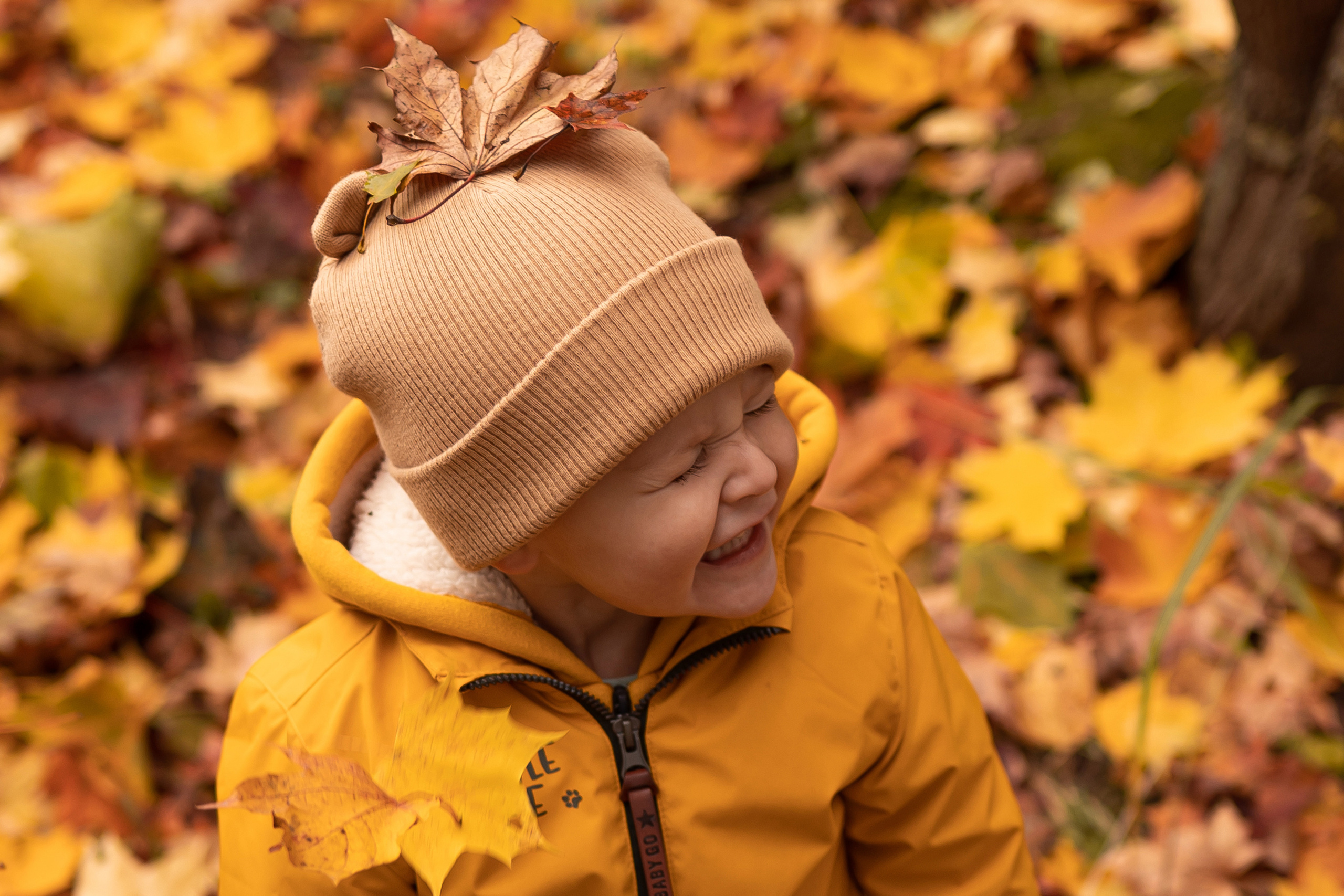 Осенняя прогулка Мишеньке 2 года. Фотограф новорожденных Москва, Домодедово