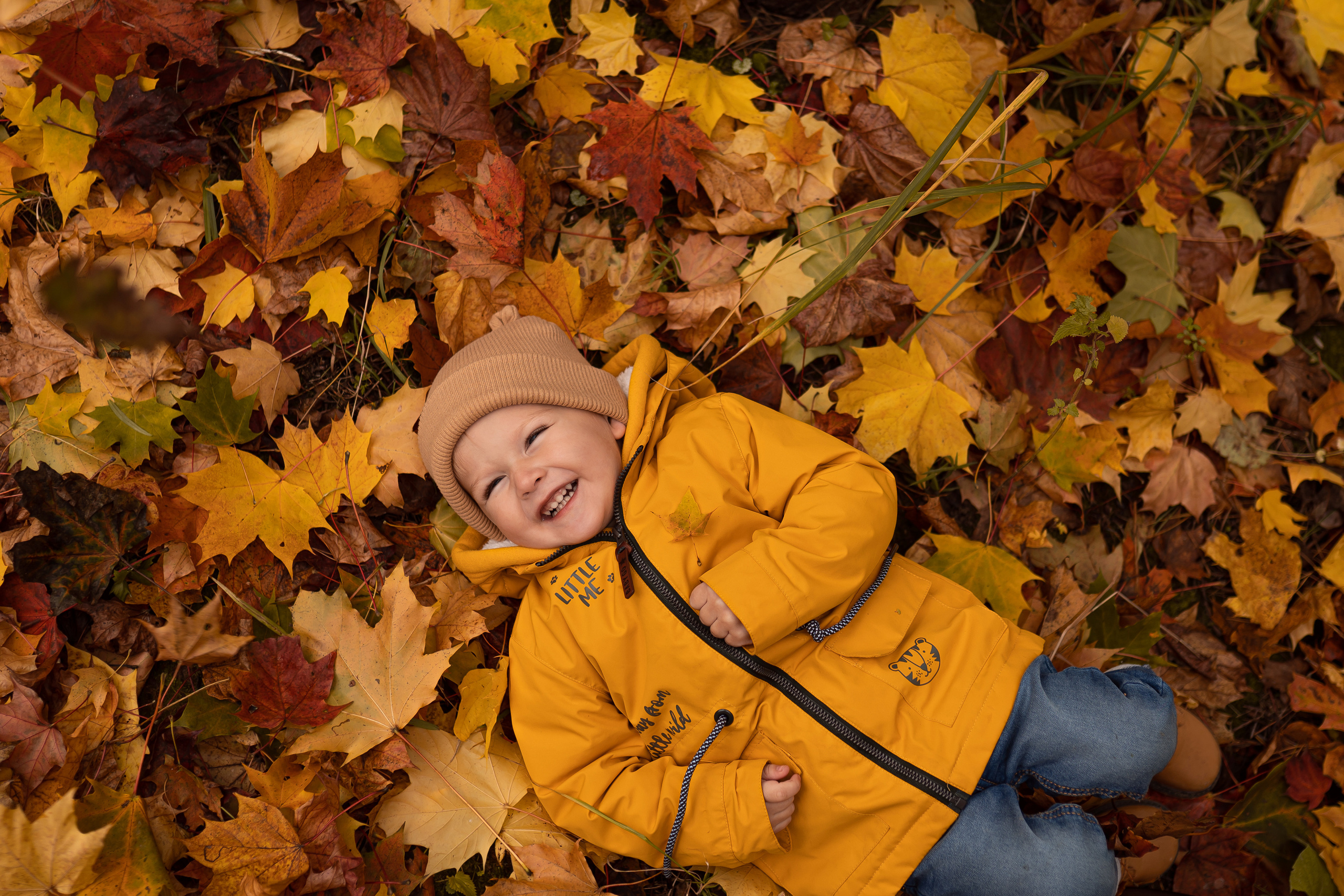 Осенняя прогулка Мишеньке 2 года. Фотограф новорожденных Москва, Домодедово