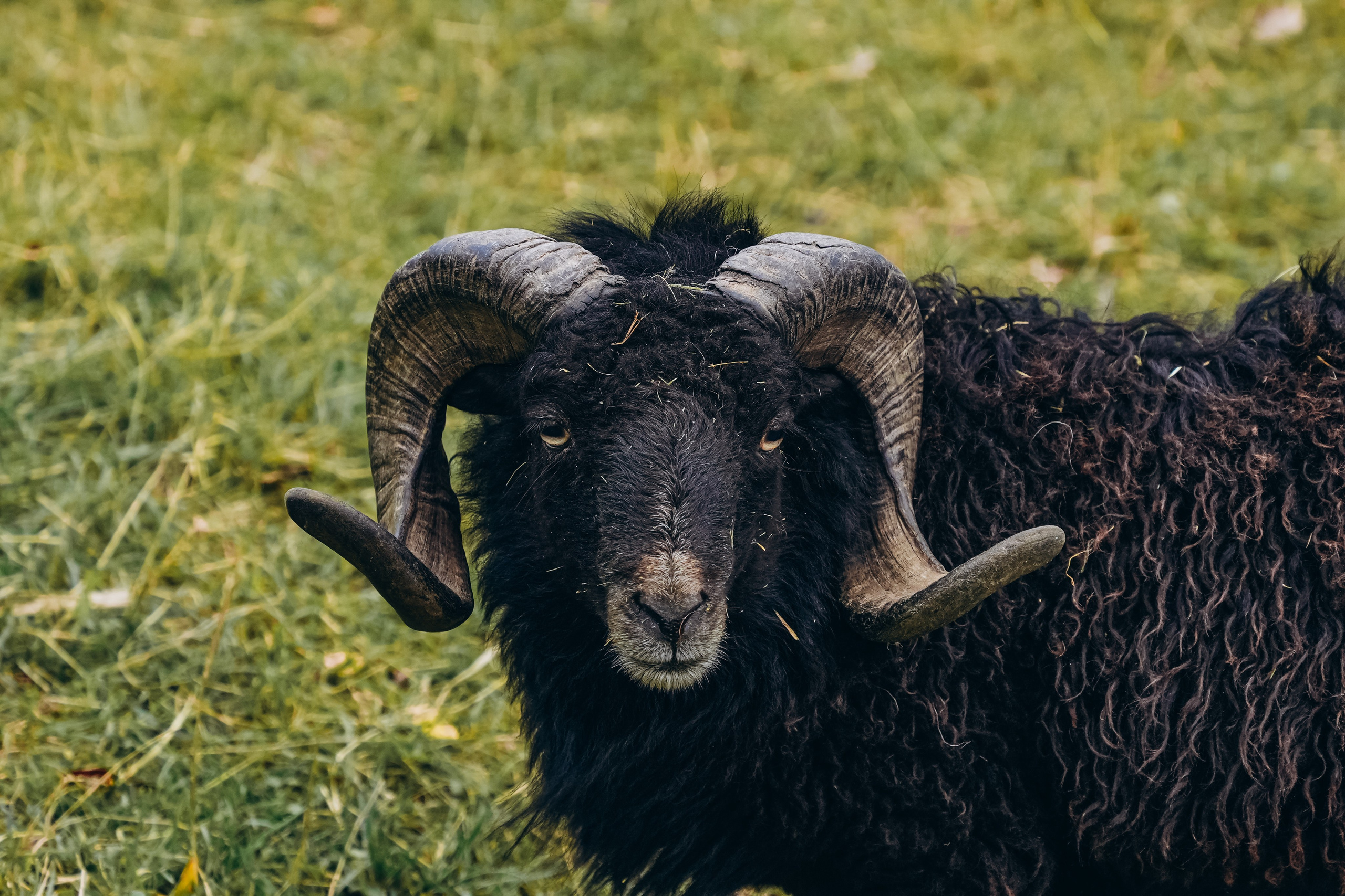 СЕВЕР. Event фотограф Степанова Александра