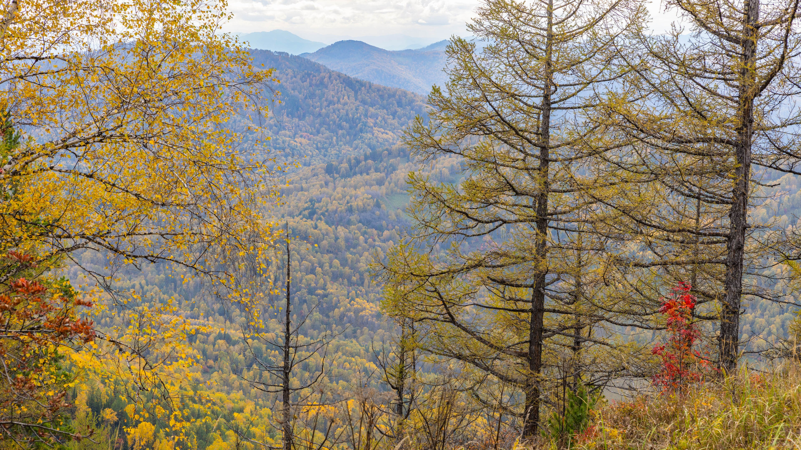 2025 09 Алтай. Чуйский тракт. Фотографии