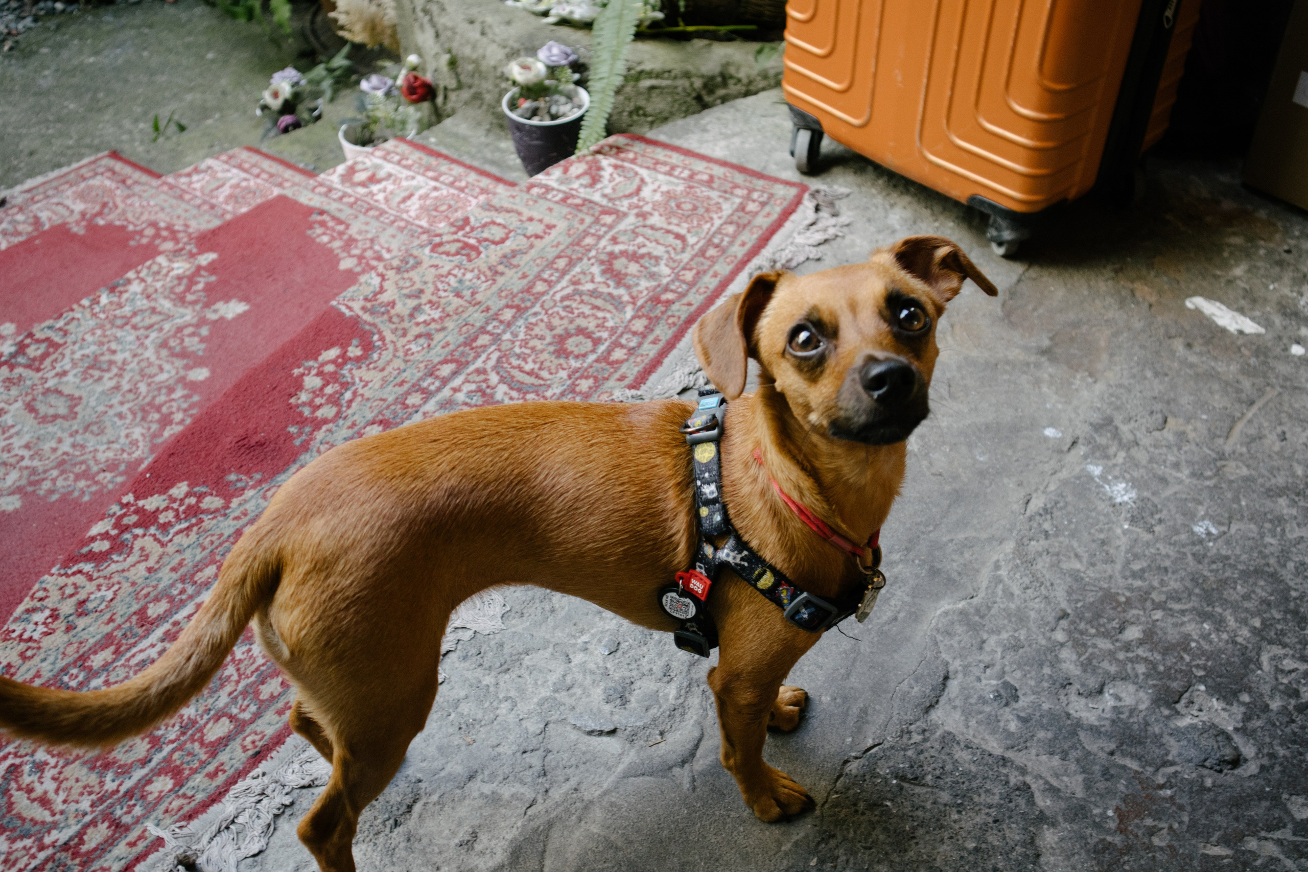 Craft market in Batumi