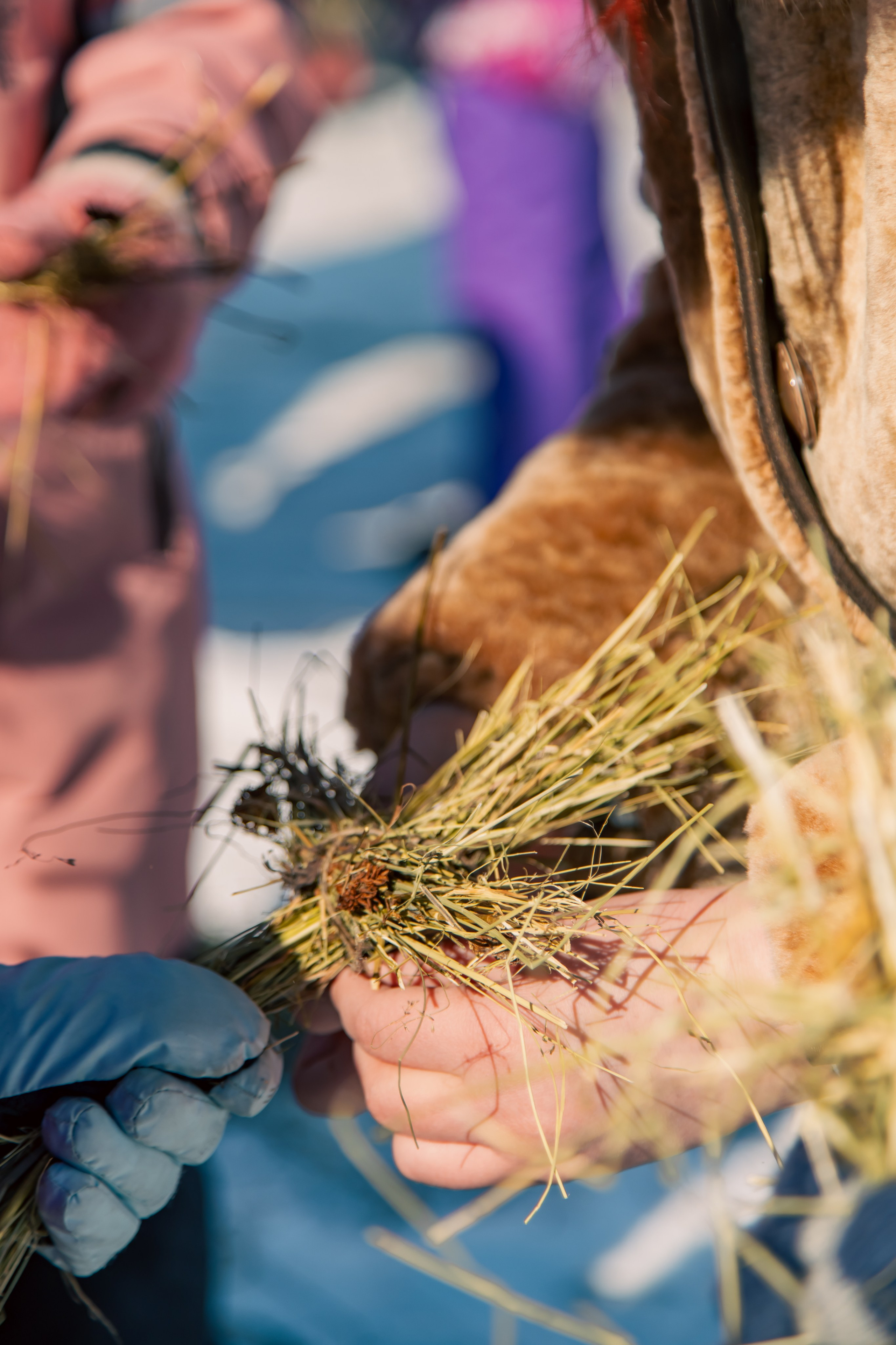 Закрытие масленицы «ДВ Каникулы». МЕДИА-РЕСУРС ХАБАРОВСК / Фотоотчеты / Репортажи / События