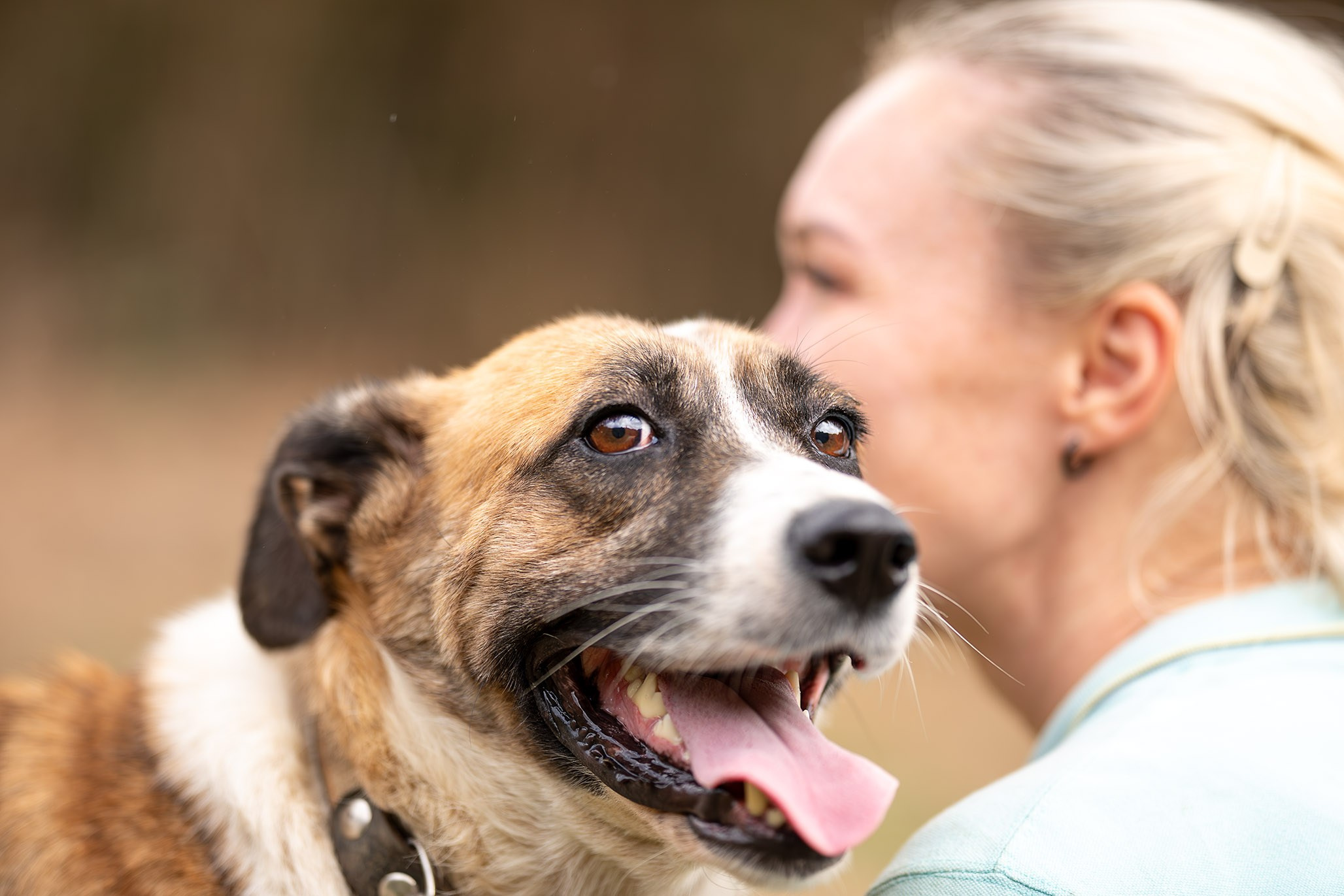 Приют Бим. Ирина Голомб|Фотограф-анималист в  Сочи и Калининграде