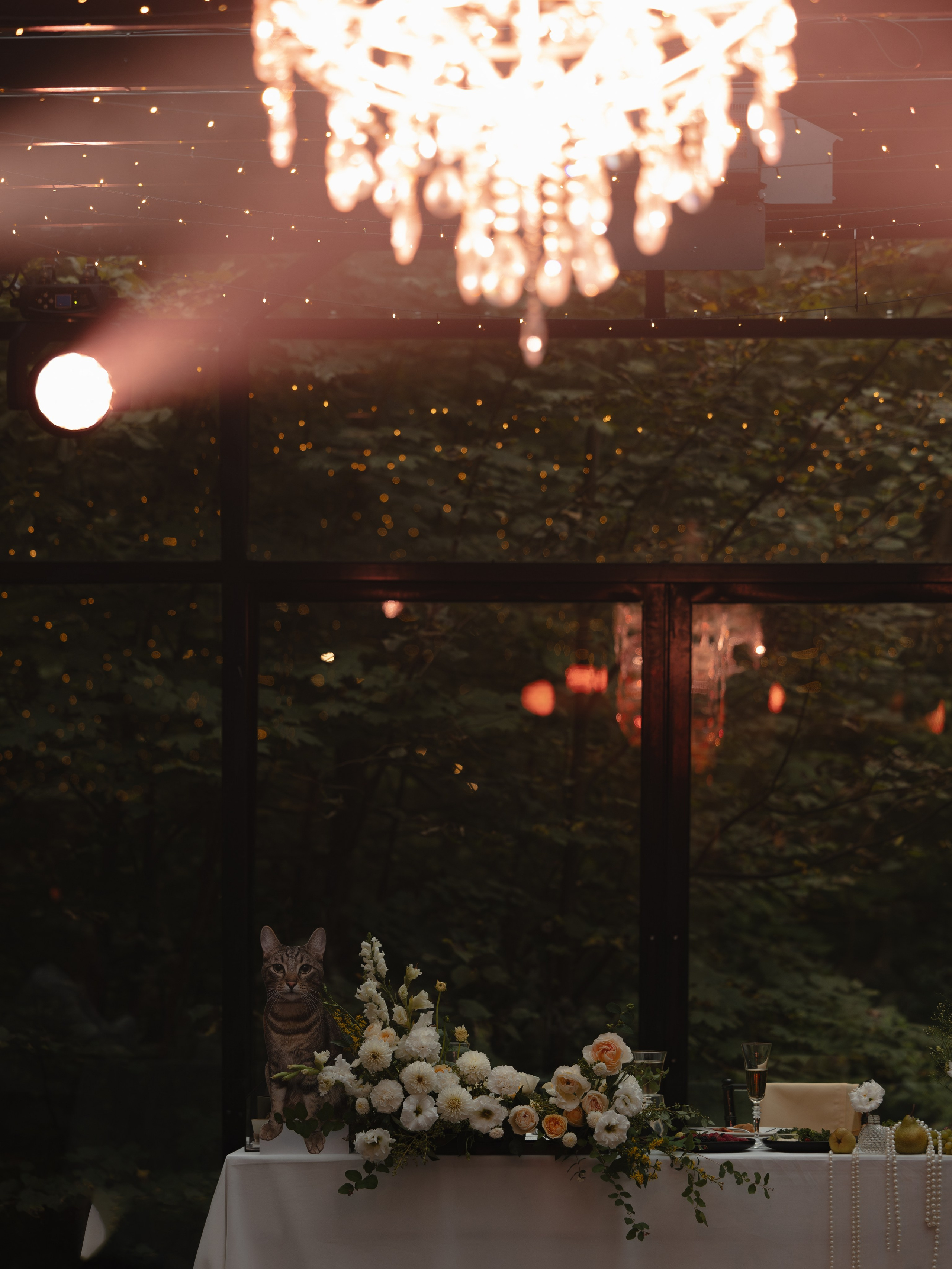 Свадебный фотограф Москва