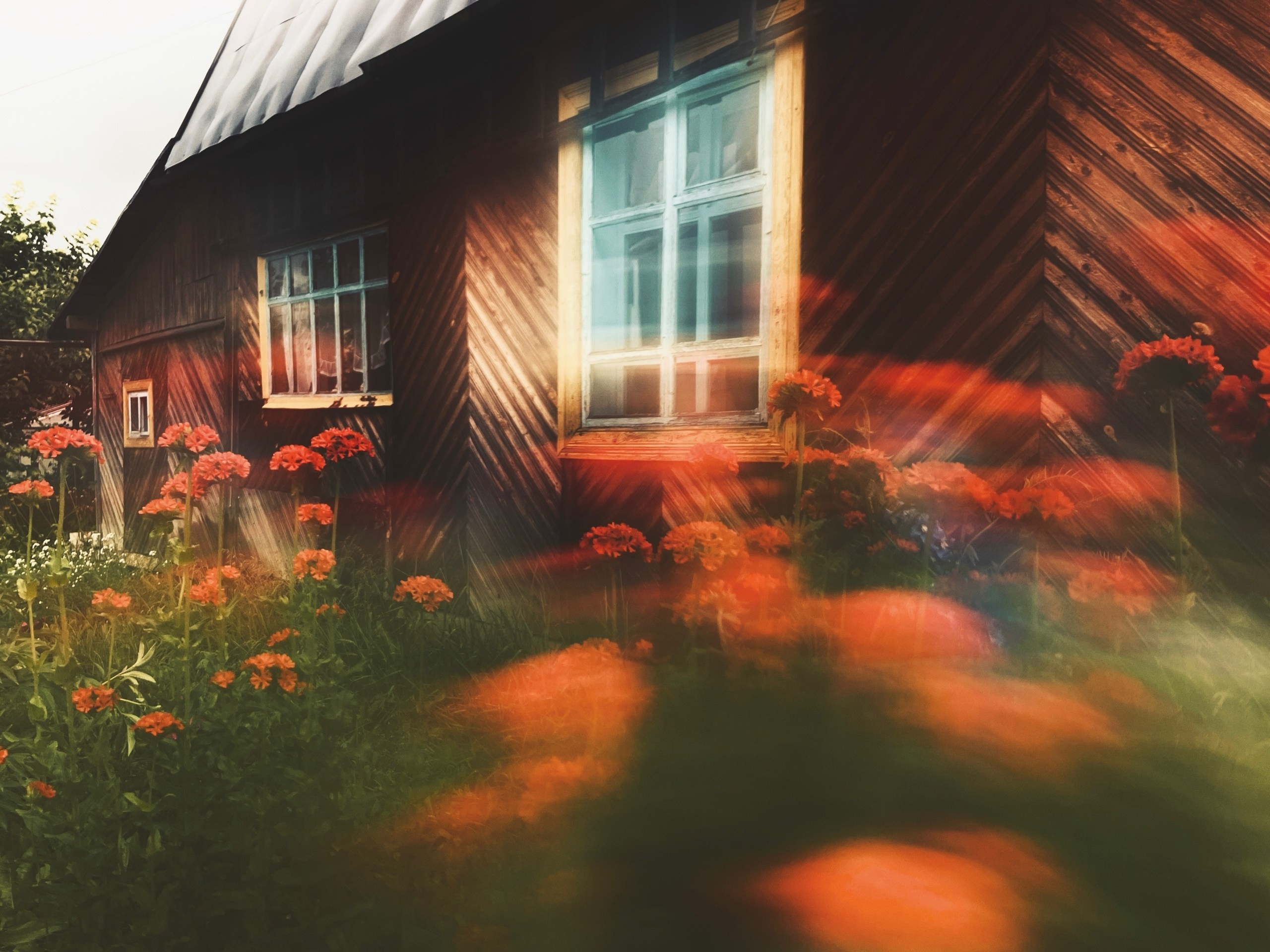 Фотоальбом: Алхимия Жизни. VITA · visual therapy arts