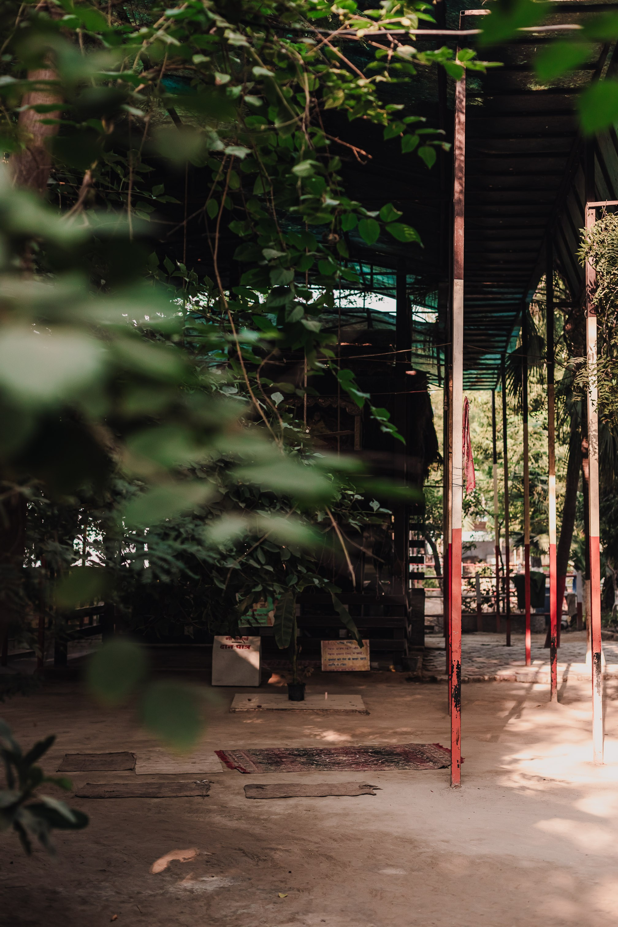 Devraha Baba Ji Ashram in Vrindavan. Мариам Багдасарян