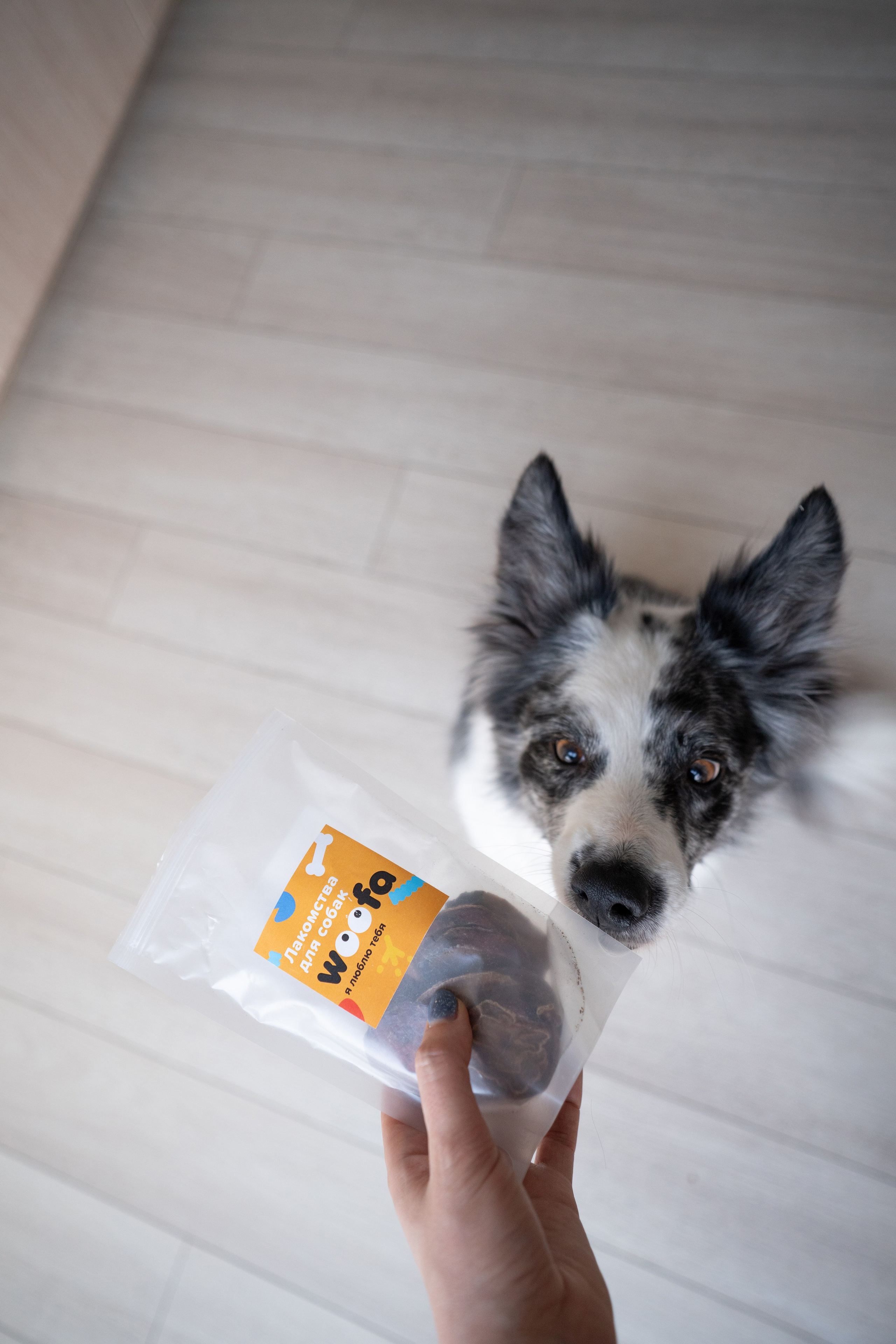 Лакомства Woofa. Фотограф анималист Осипчикова Мария