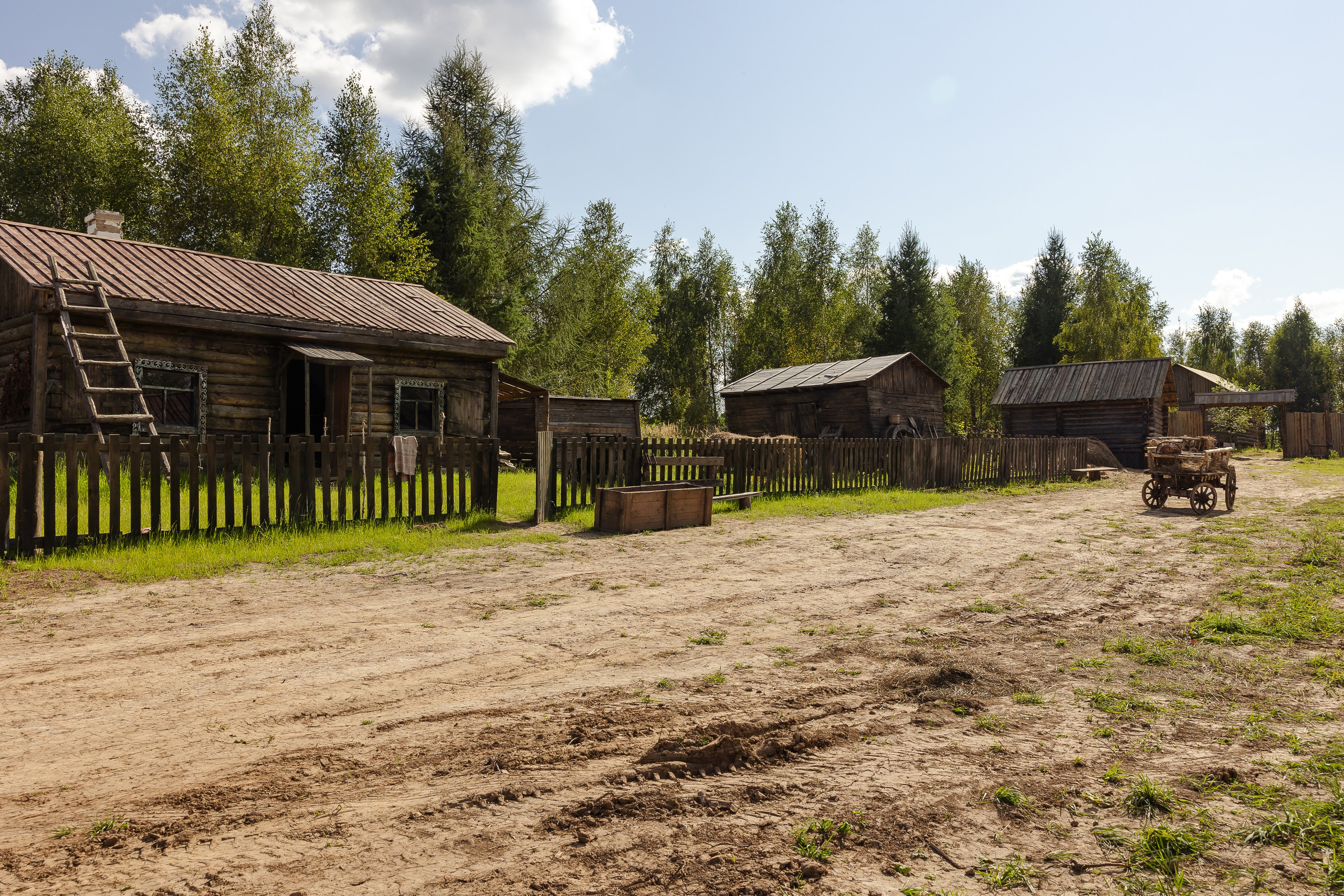 Кинопарк «Москино». Лисенкова Алиса — Фотограф, видеомейкер. Москва