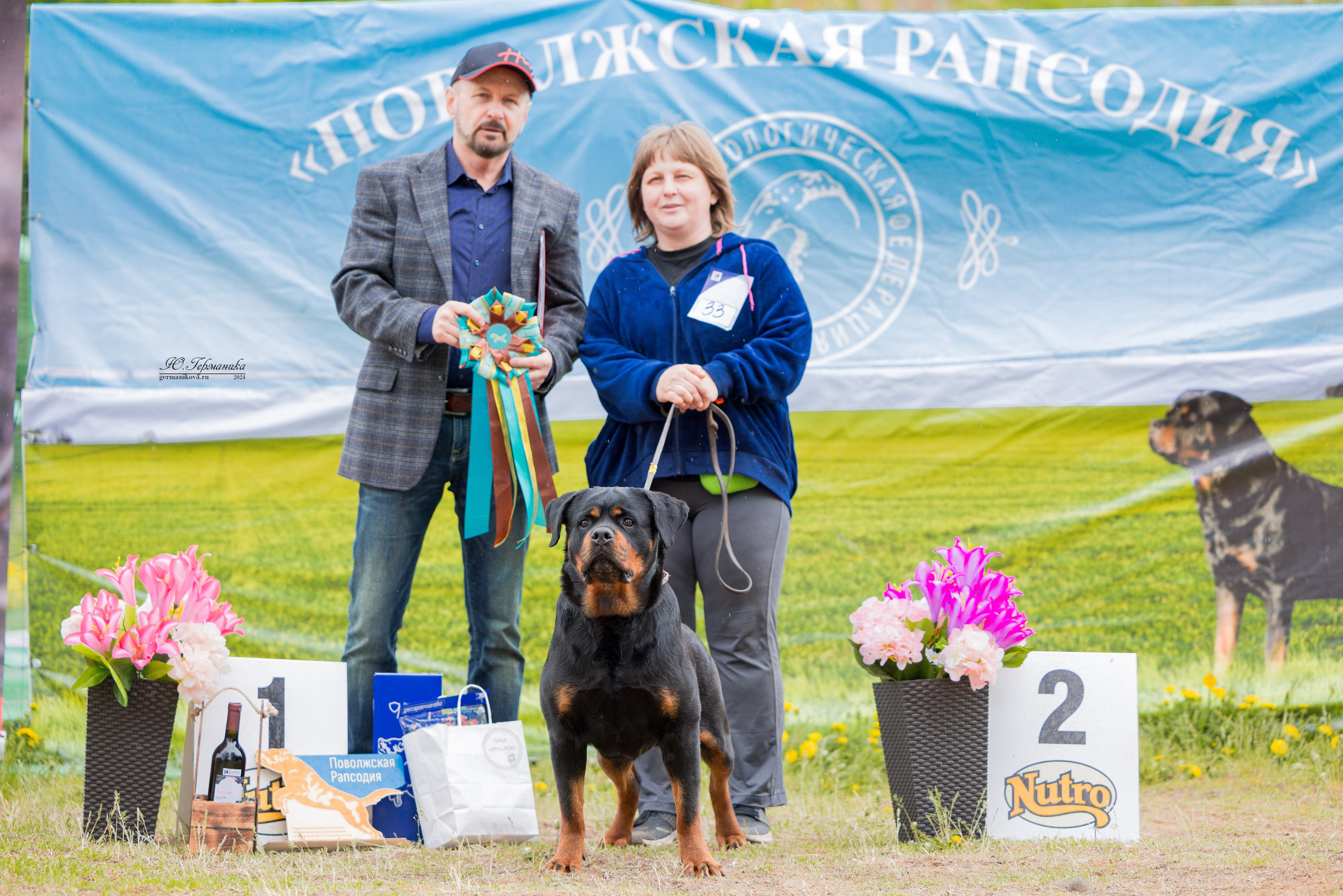 Саратов 2 х моно ротвейлеров 28-29.04.2024. Фотограф-анималист Юлия Германика