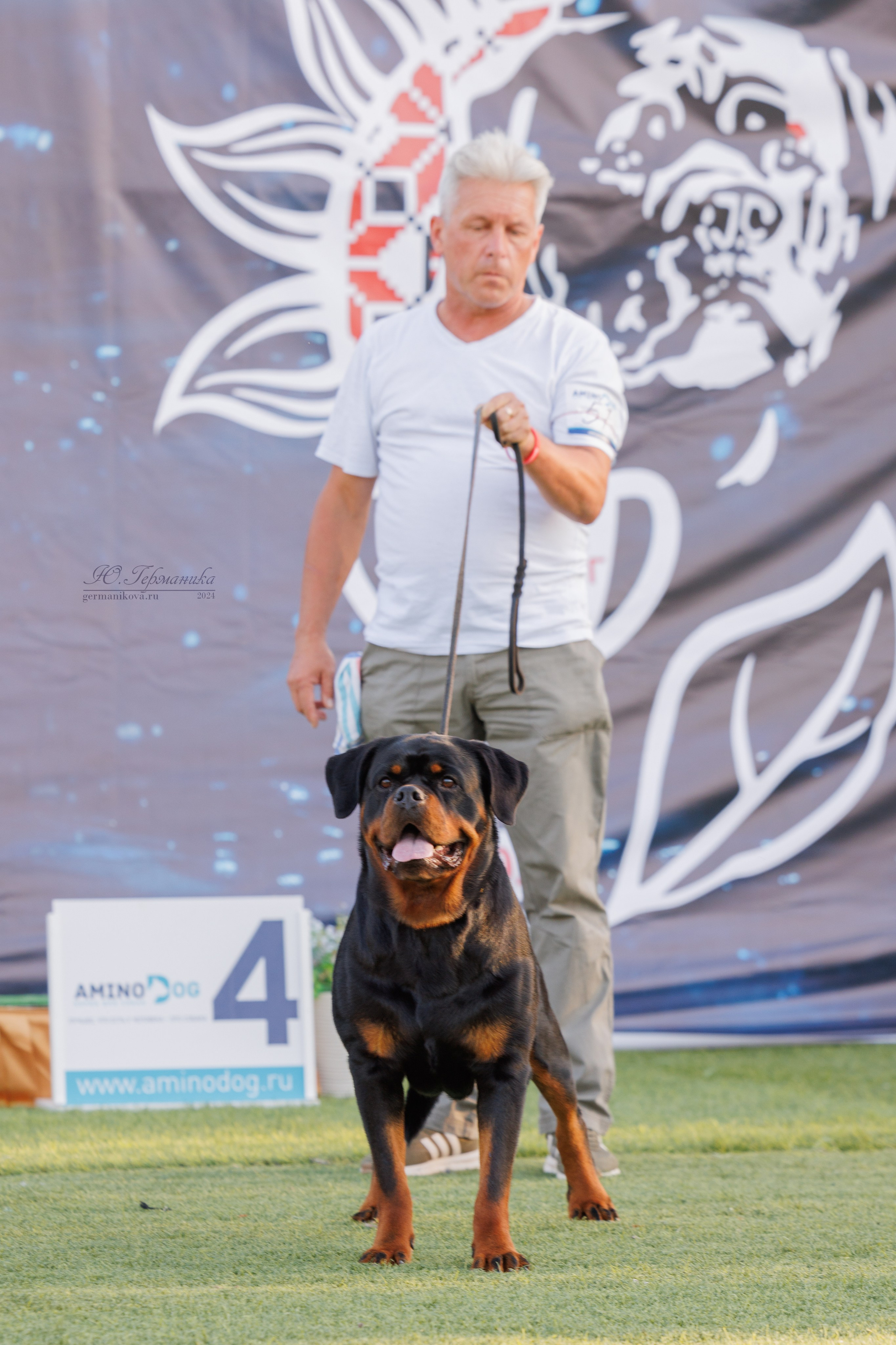 Анапа ротвейлеры 14-15.09.2024. Фотограф-анималист Юлия Германика