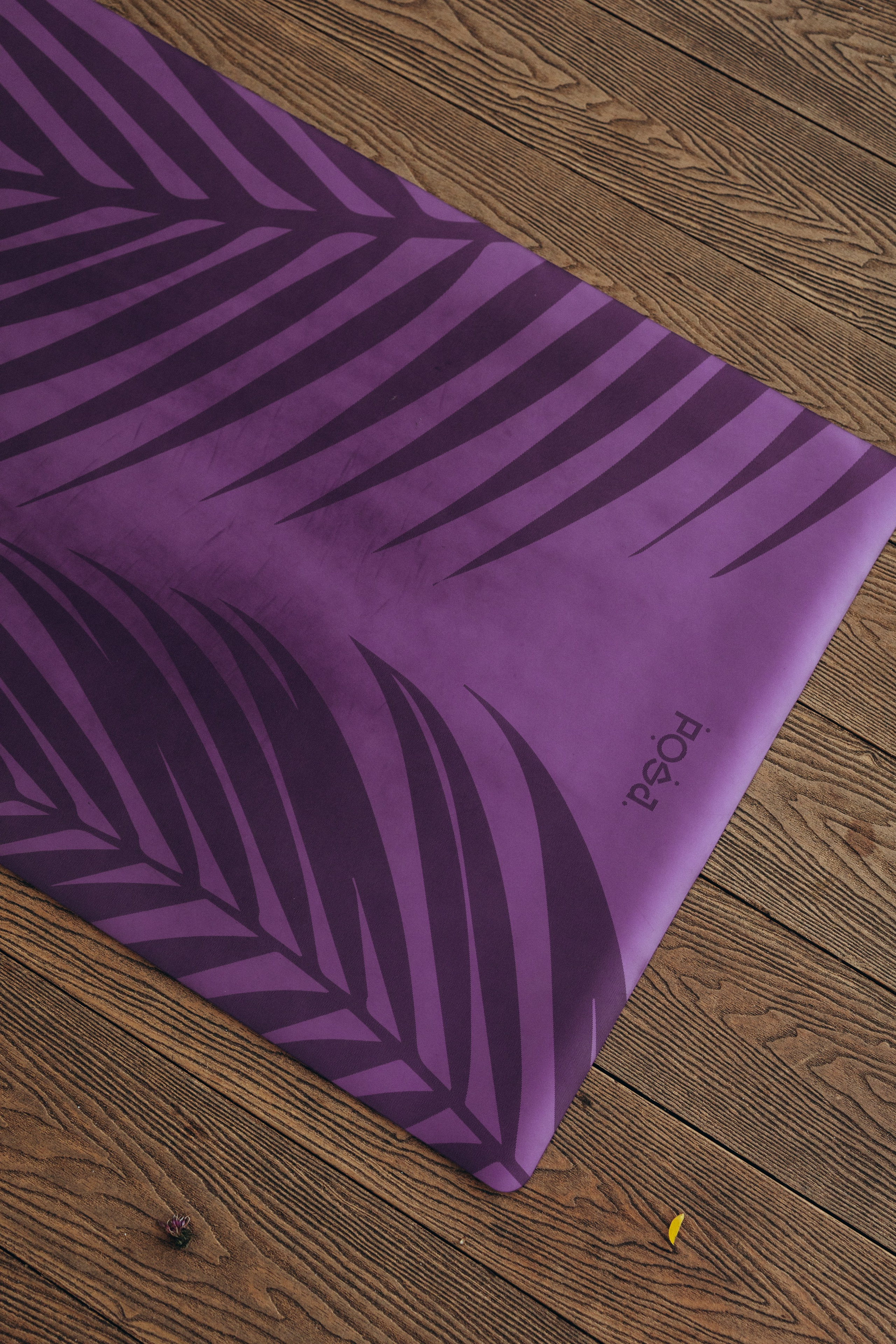 Алёна — йога. Фотограф Москва Алёна Суворова